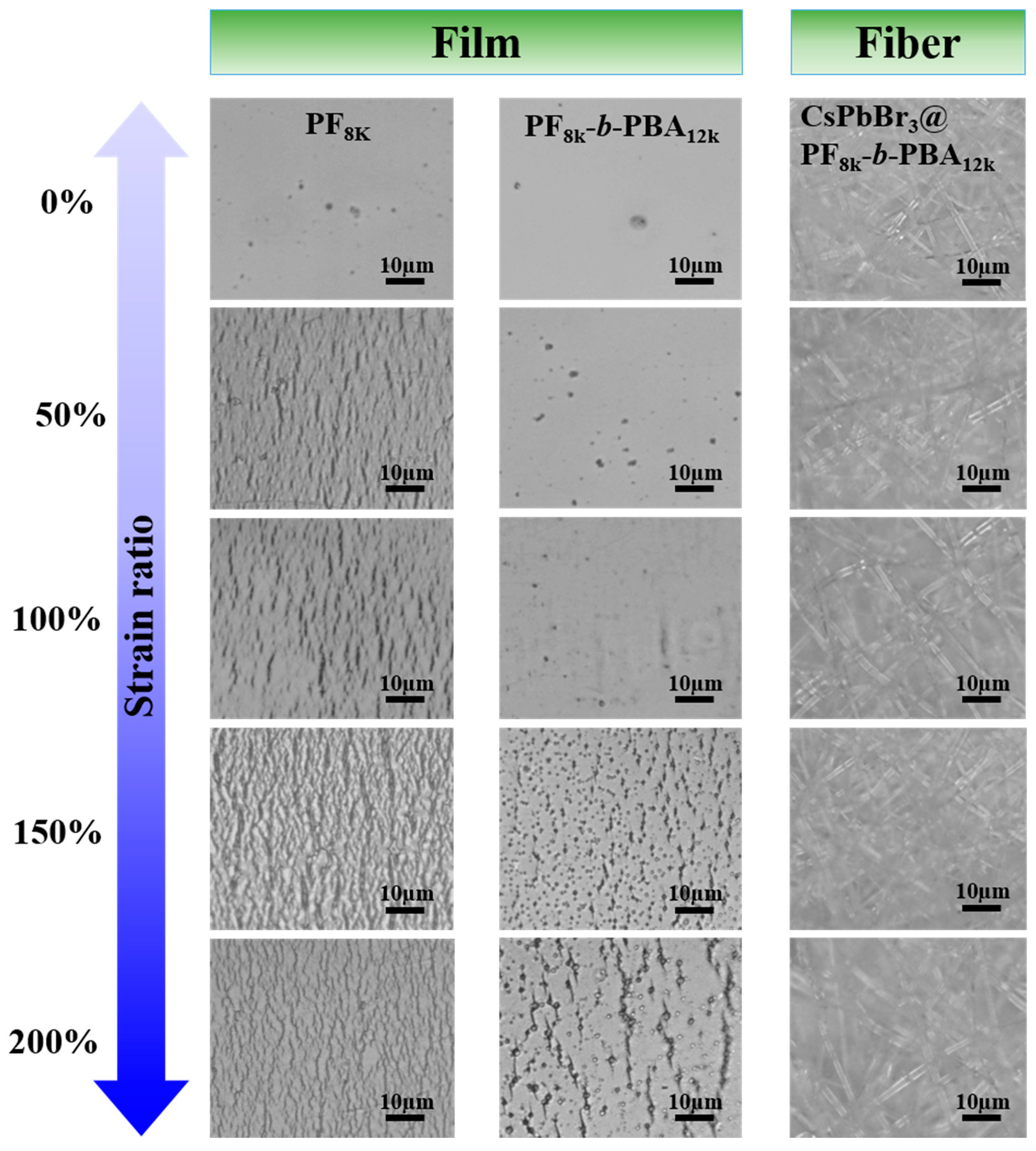 Polymers 12 00084 g003