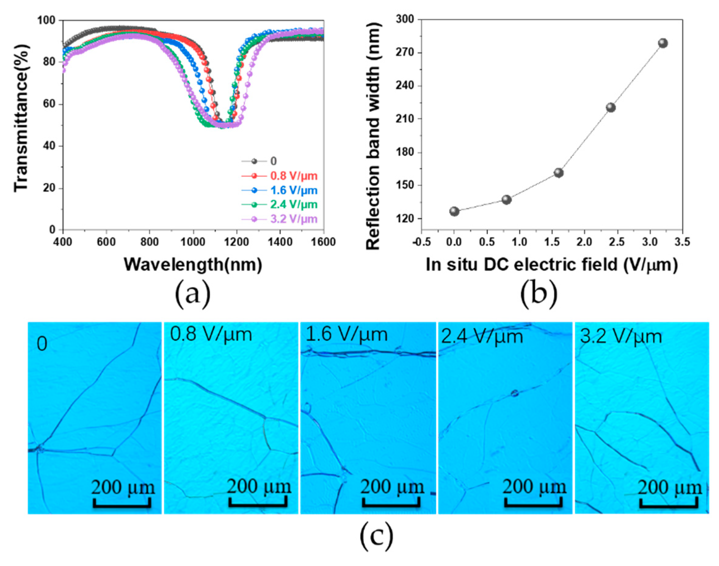 Polymers 12 00096 g003
