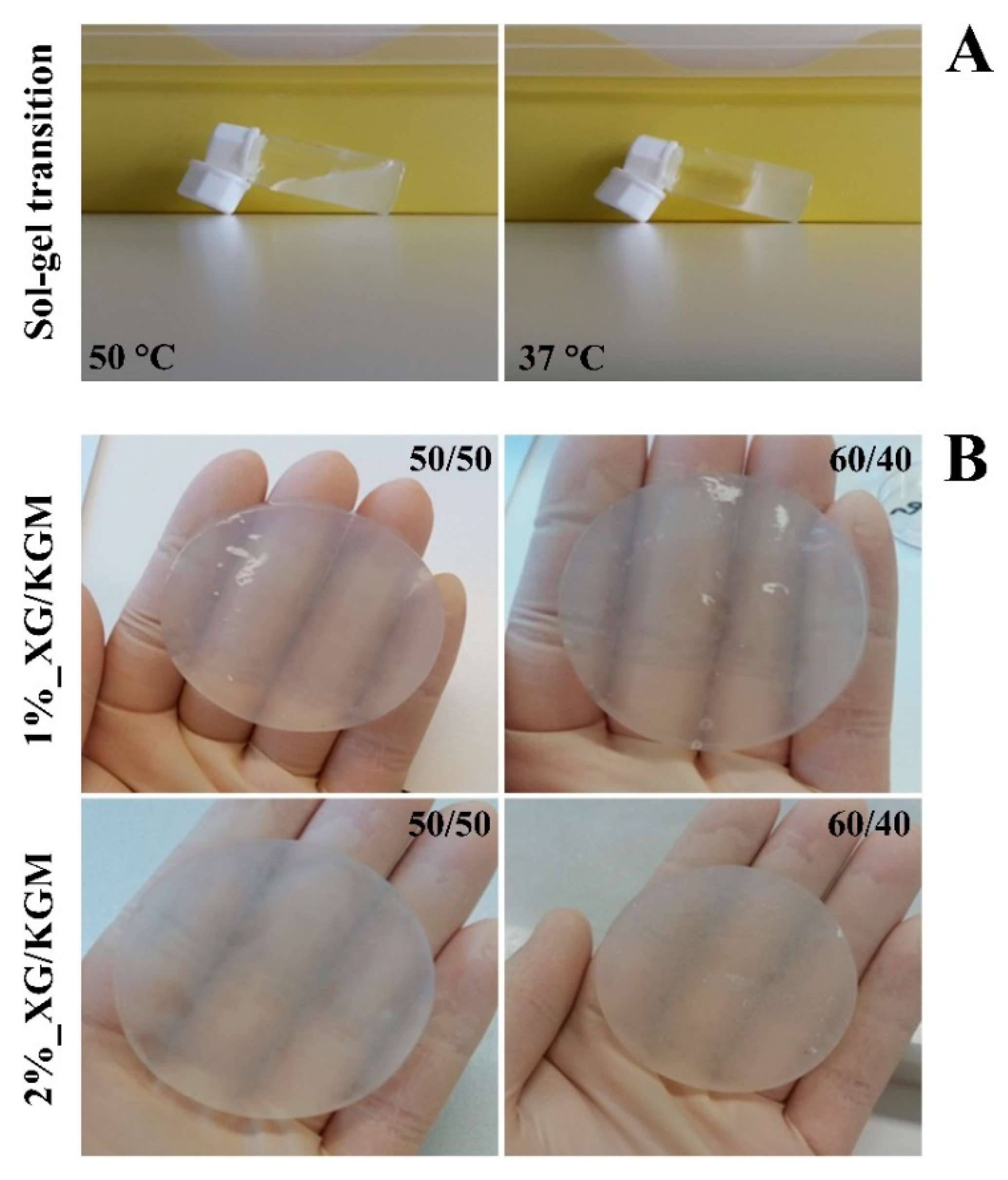 Polymers 12 00099 g001