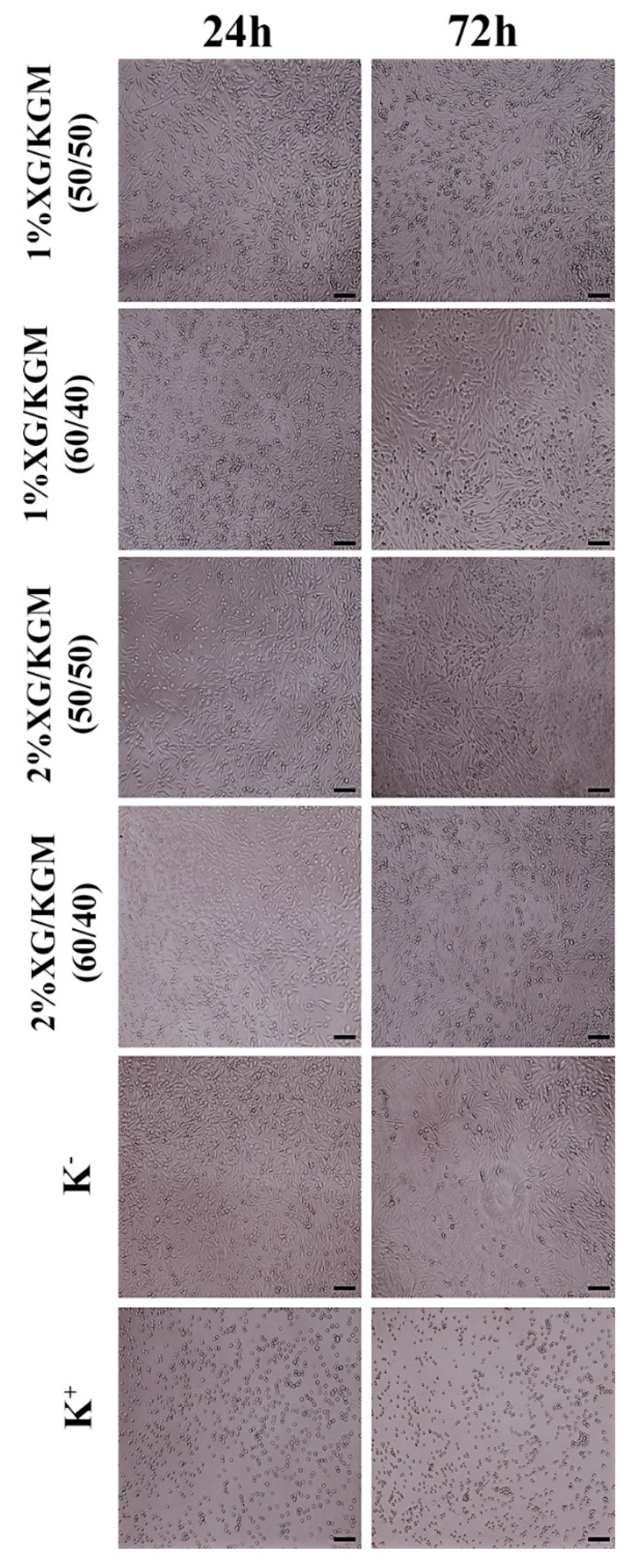 Polymers 12 00099 g005