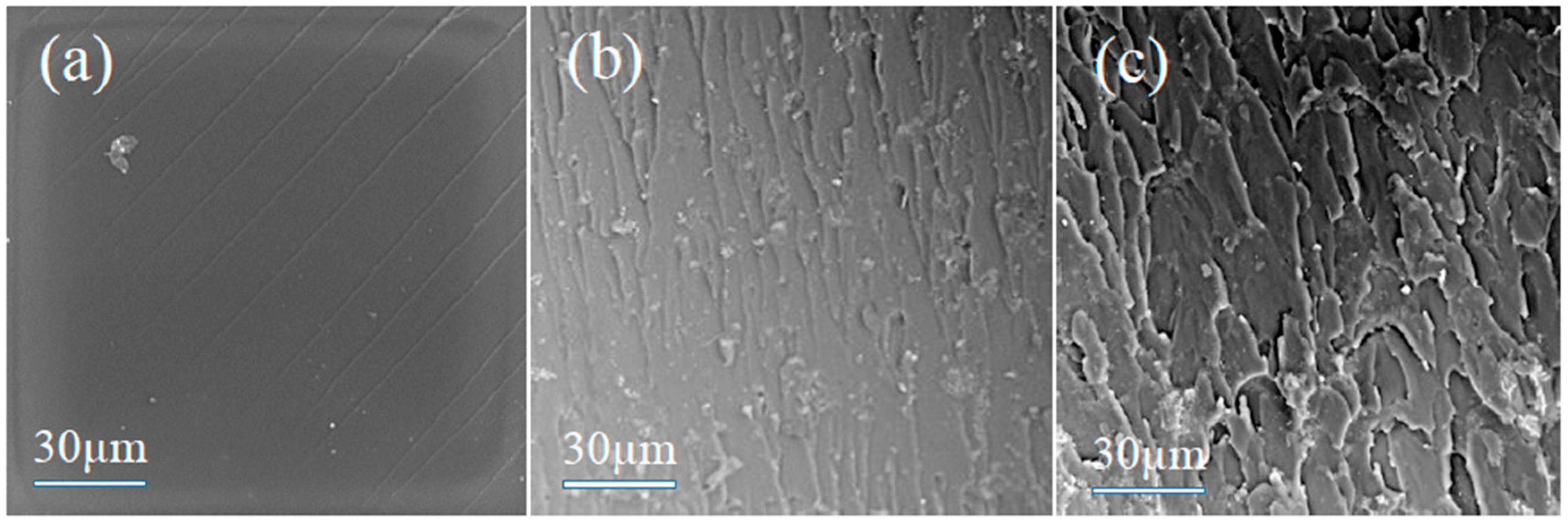 Polymers 12 00108 g007 Polymers 12 00108 g007