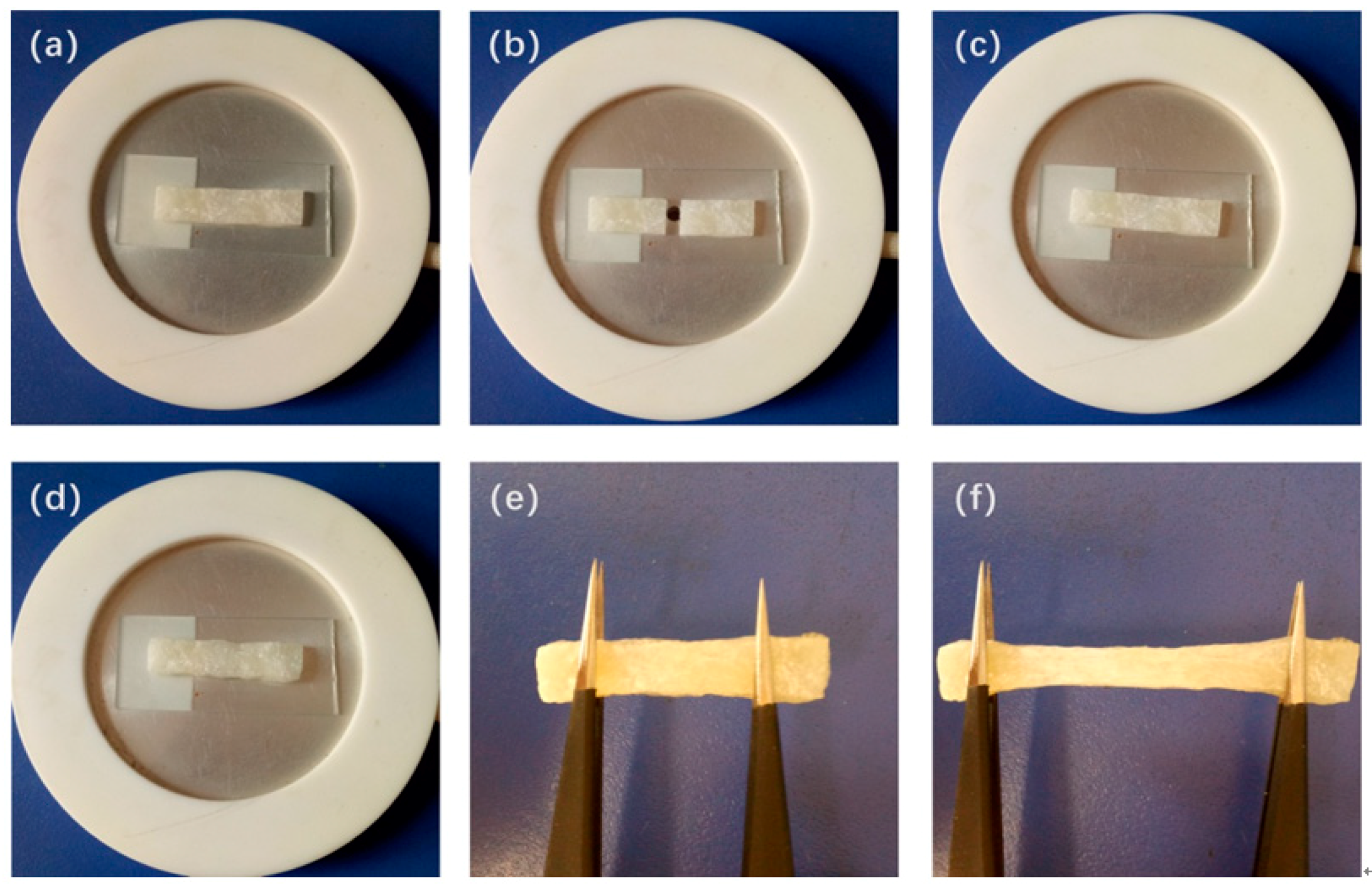 Polymers 12 00110 g008 Polymers 12 00110 g008