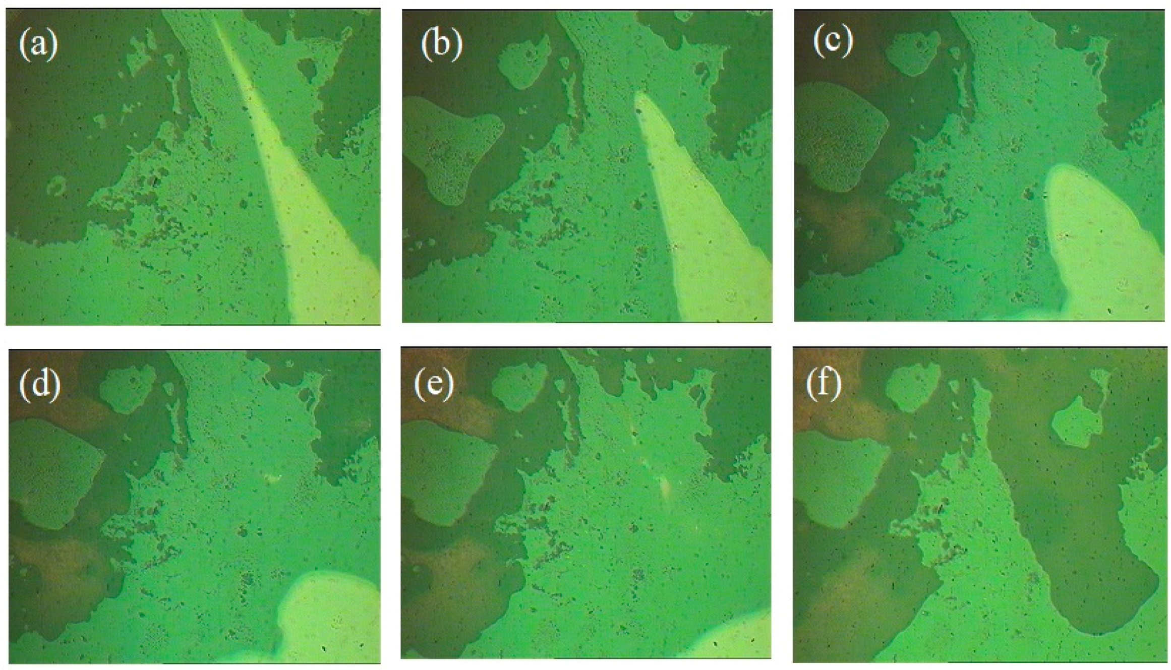 Polymers 12 00110 g009 Polymers 12 00110 g009