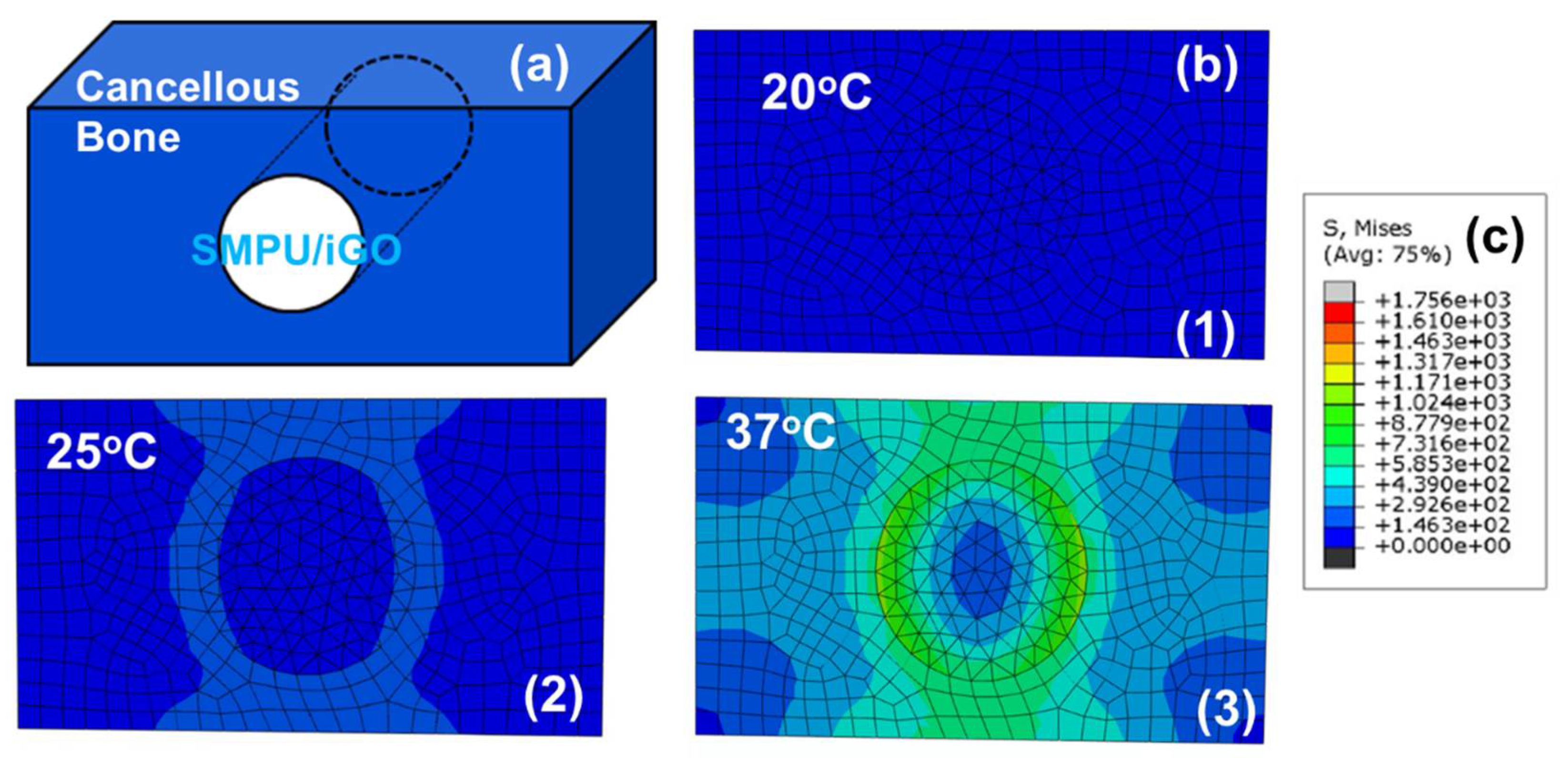 Polymers 12 00118 g005