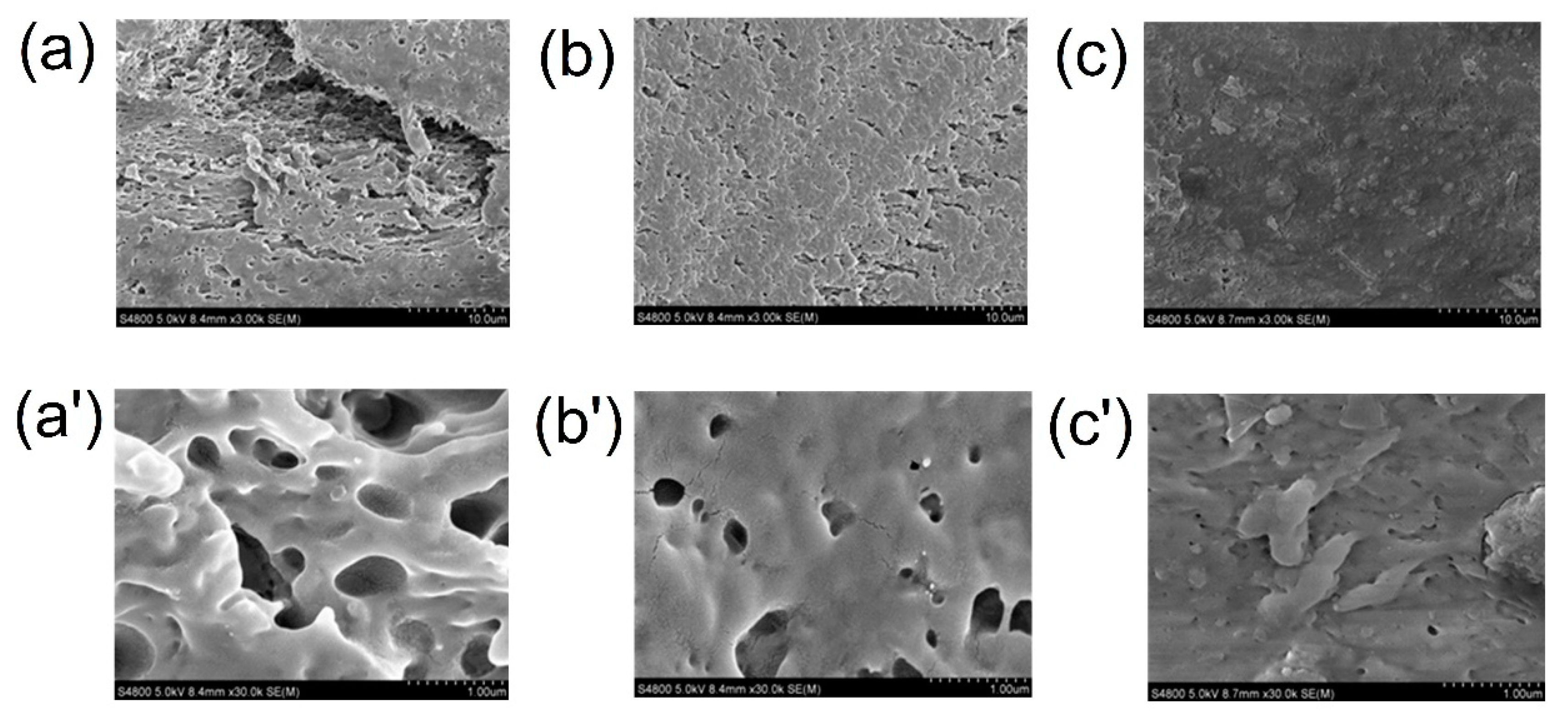 Polymers 12 00121 g008 Polymers 12 00121 g008
