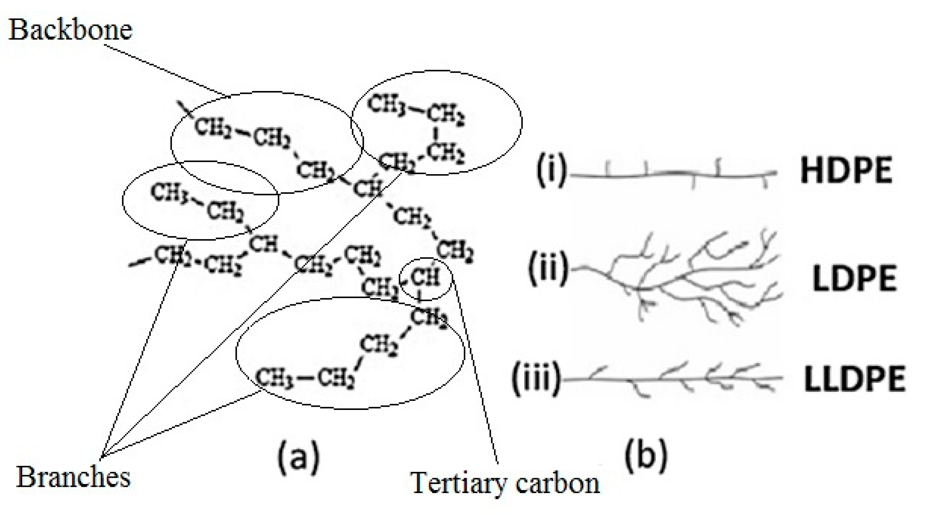 Polymers 12 00123 g003