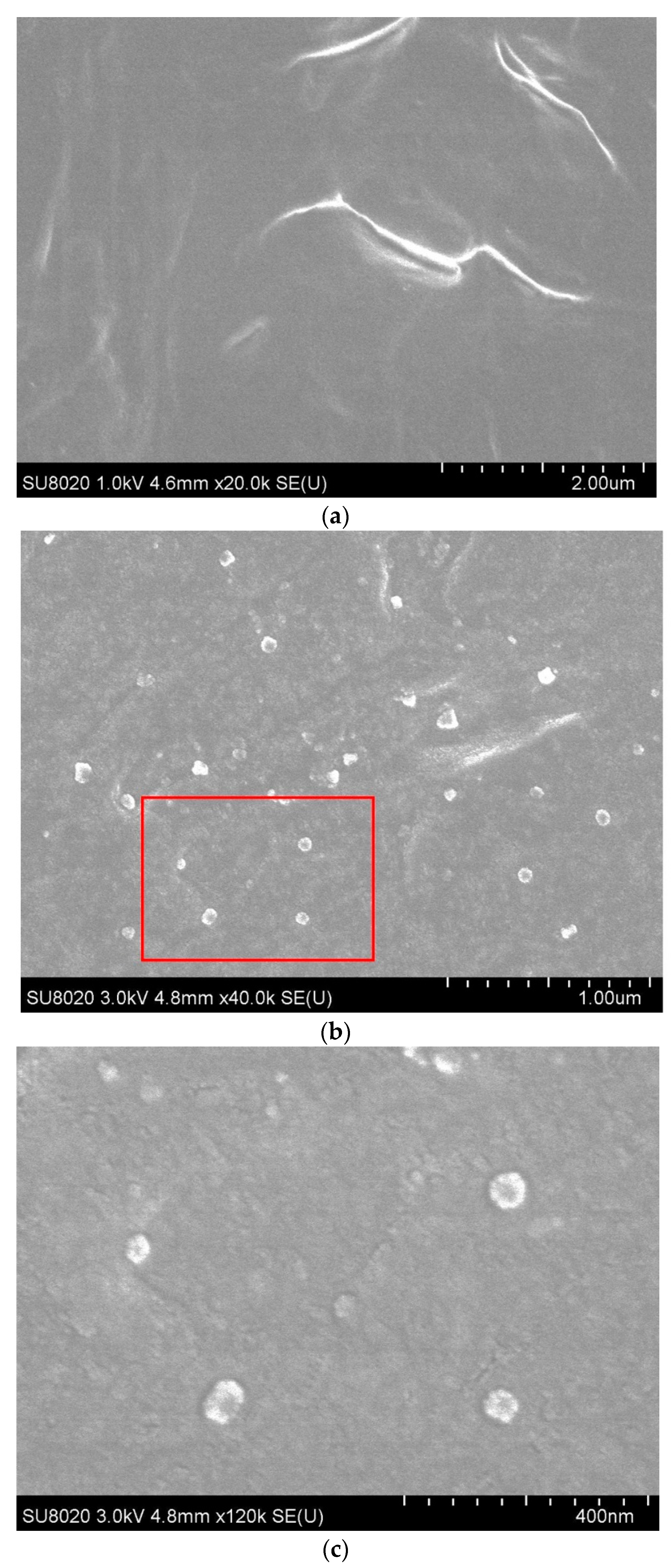Polymers 12 00124 g005