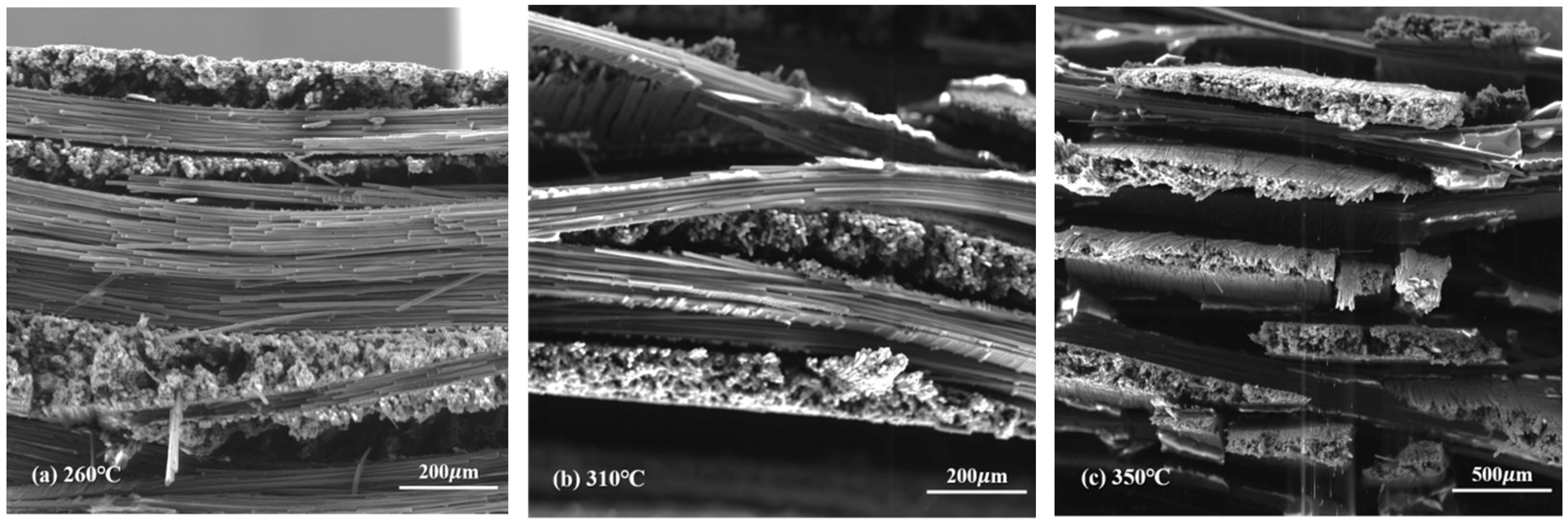 Polymers 12 00126 g012 Polymers 12 00126 g012