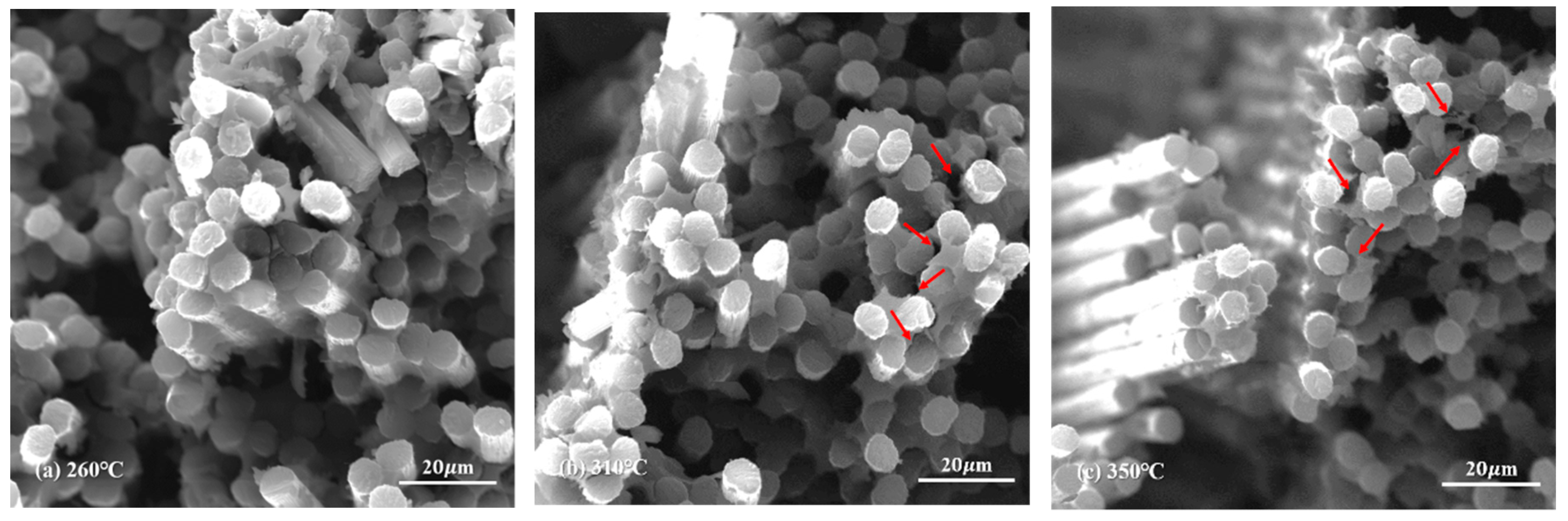 Polymers 12 00126 g013 Polymers 12 00126 g013