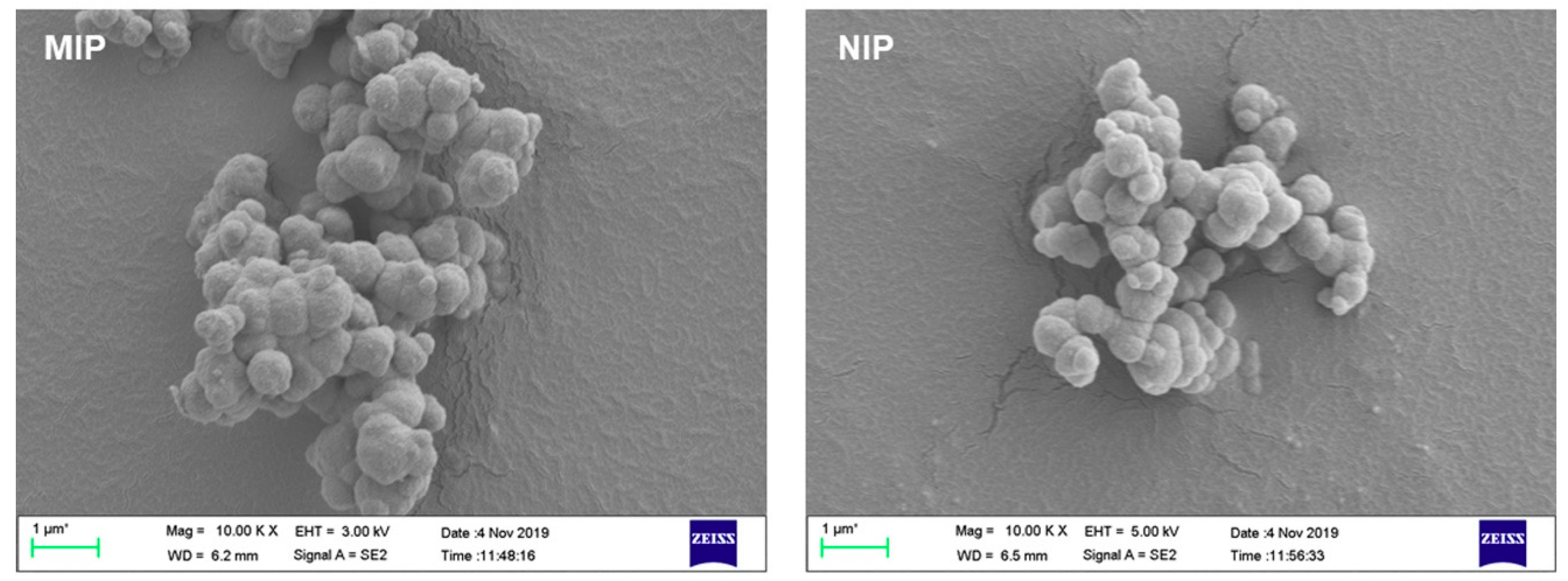 Polymers 12 00131 g002 Polymers 12 00131 g002