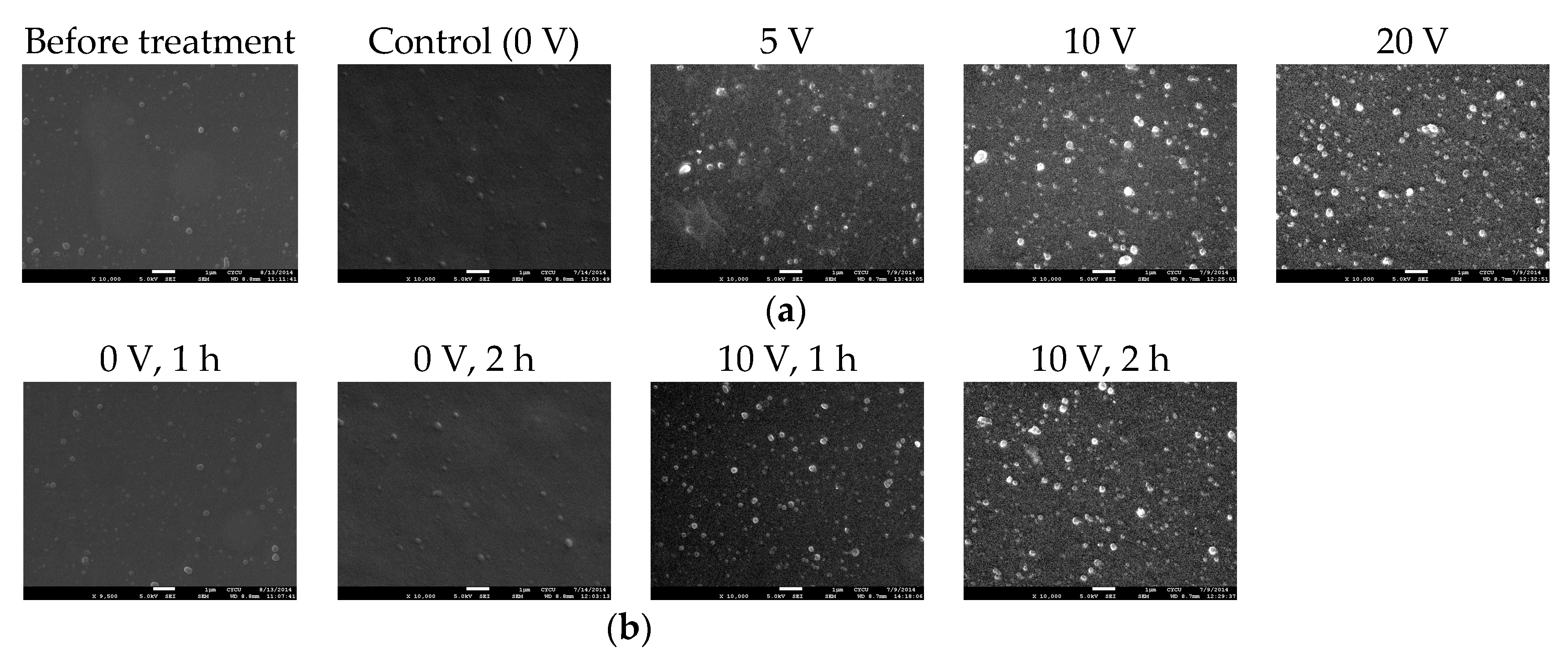 Polymers 12 00133 g004
