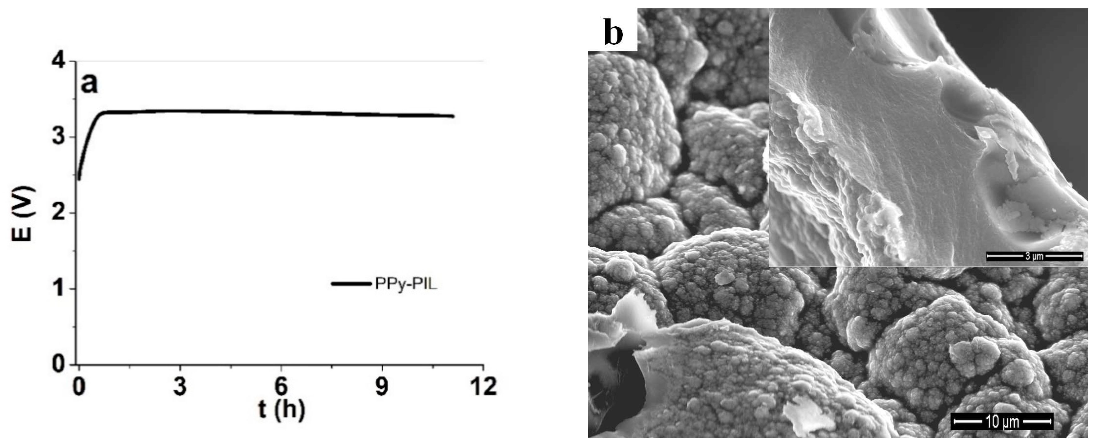 Polymers 12 00136 g001a Polymers 12 00136 g001a