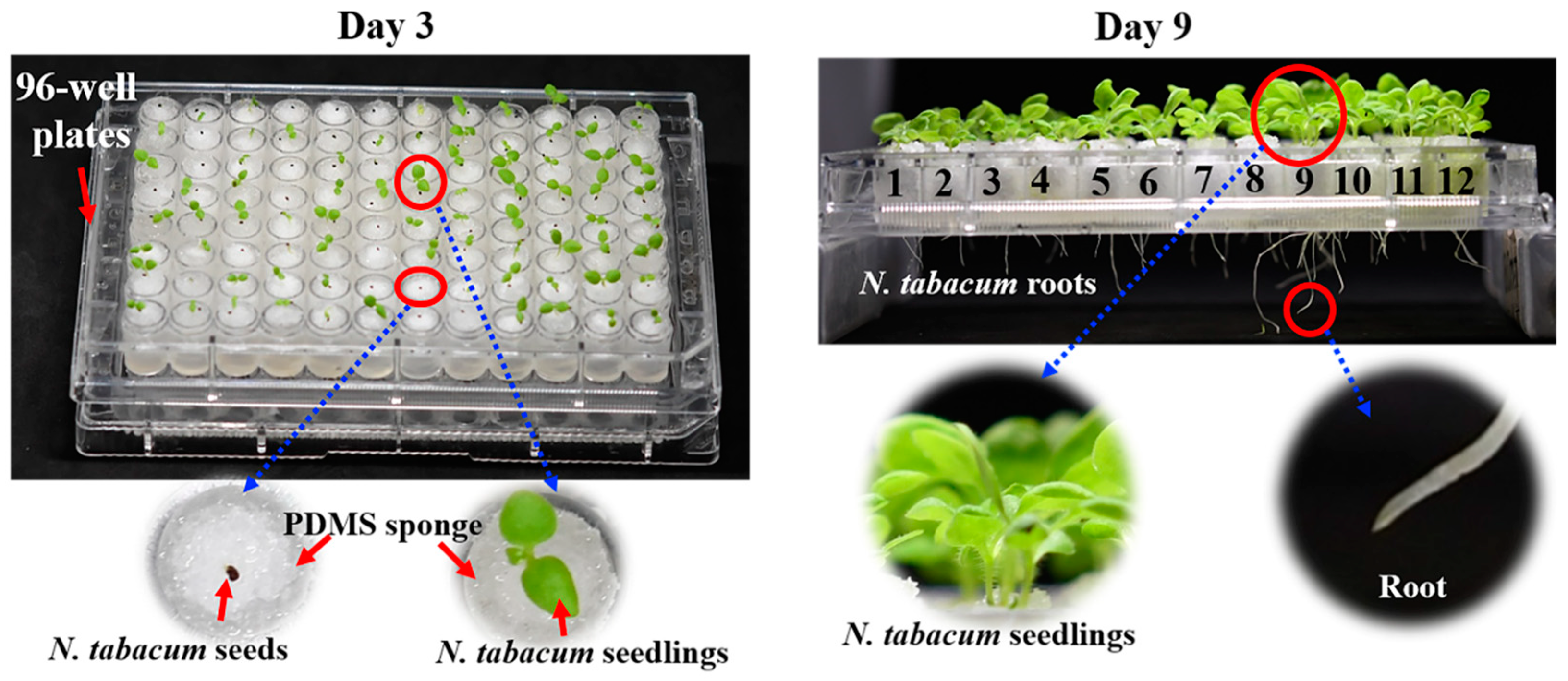 Polymers 12 00140 g006