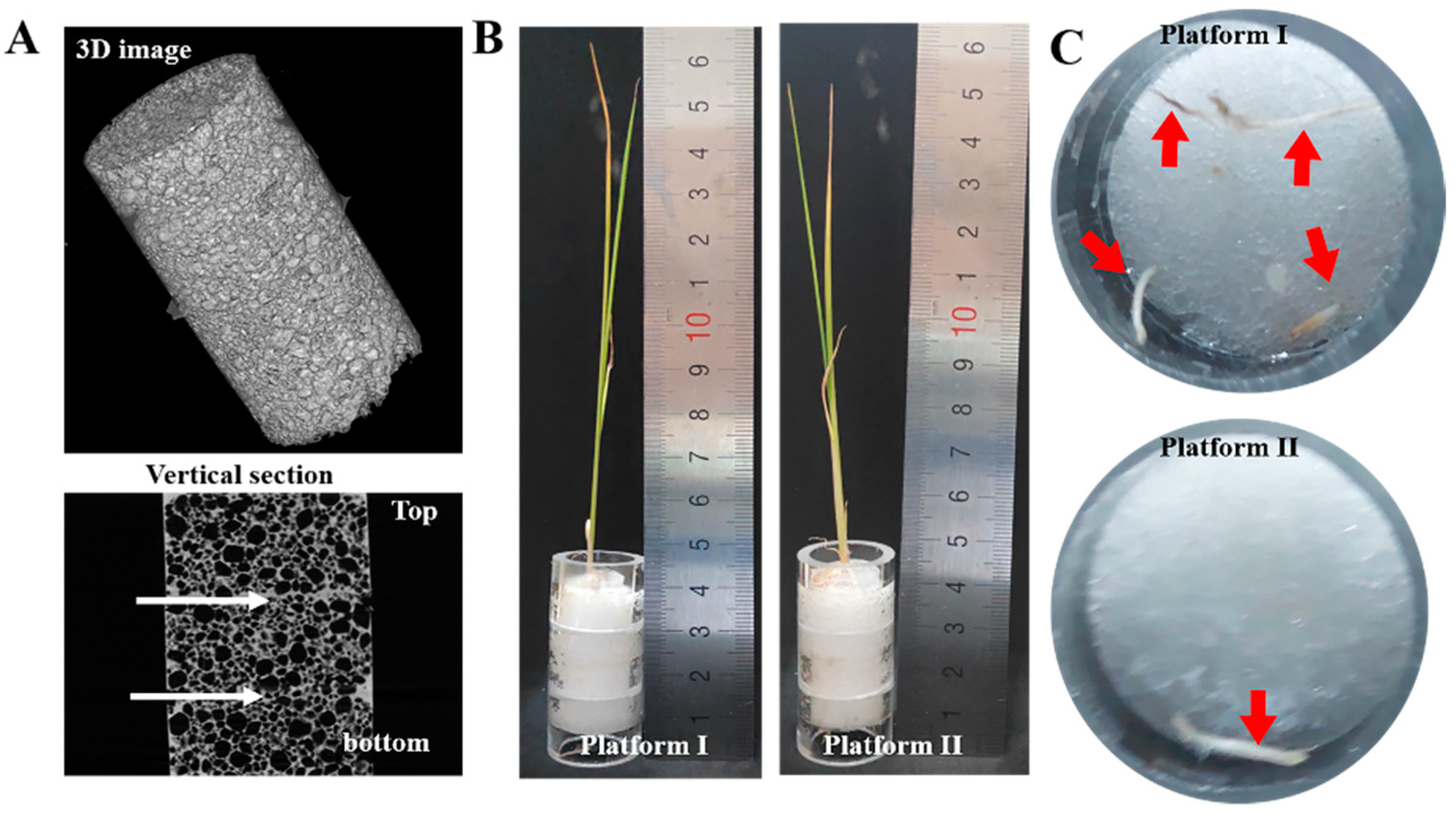 Polymers 12 00140 g007