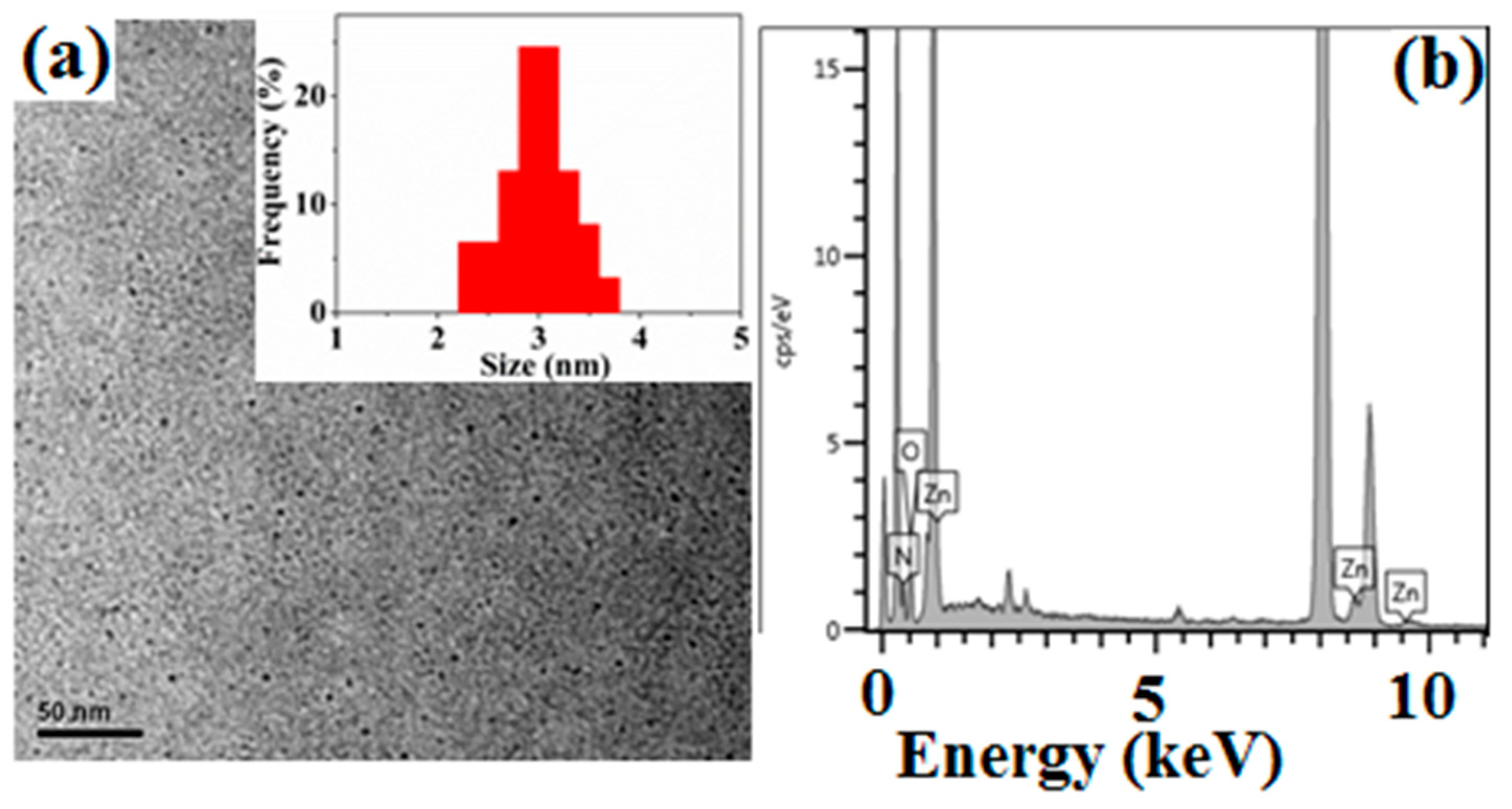 Polymers 12 00144 g003 Polymers 12 00144 g003