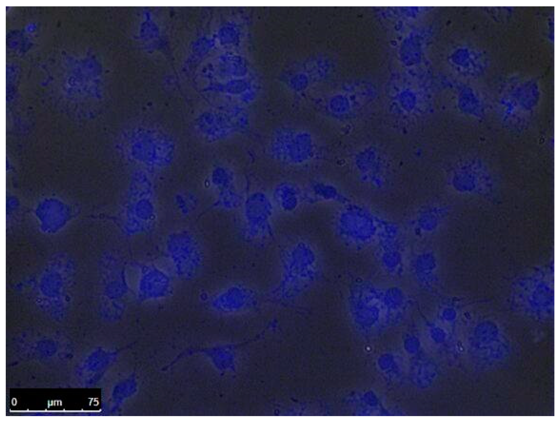 Polymers 12 00144 g008 Polymers 12 00144 g008