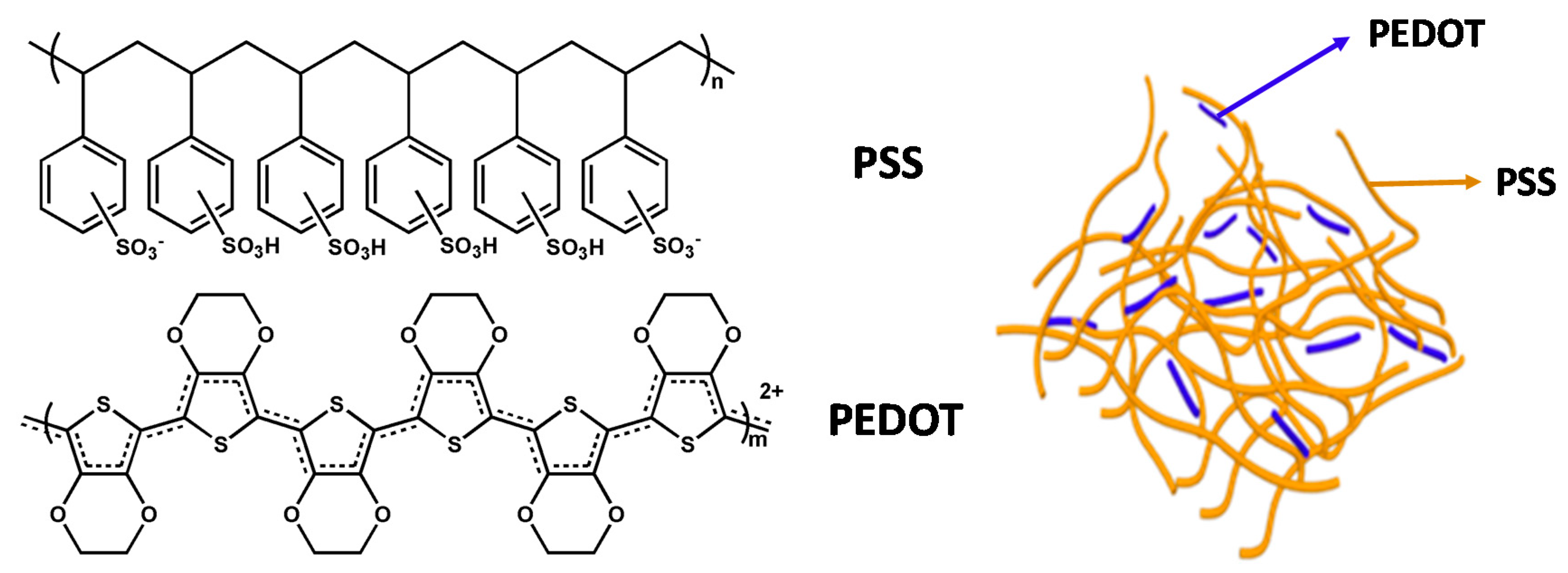 Polymers 12 00145 g001
