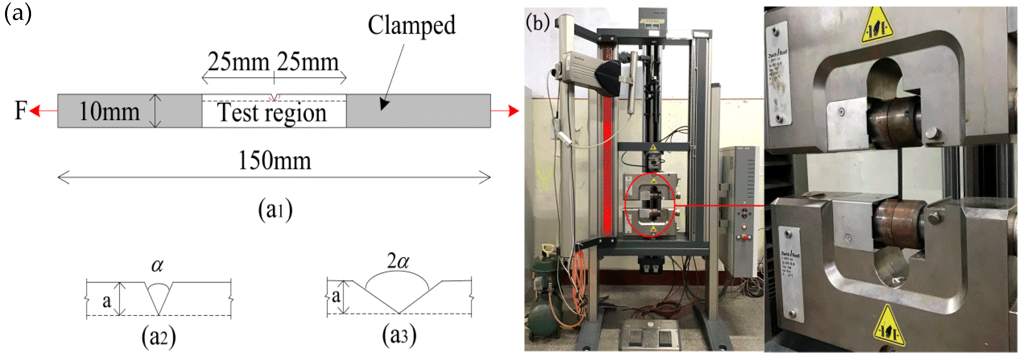 Polymers 12 00146 g002