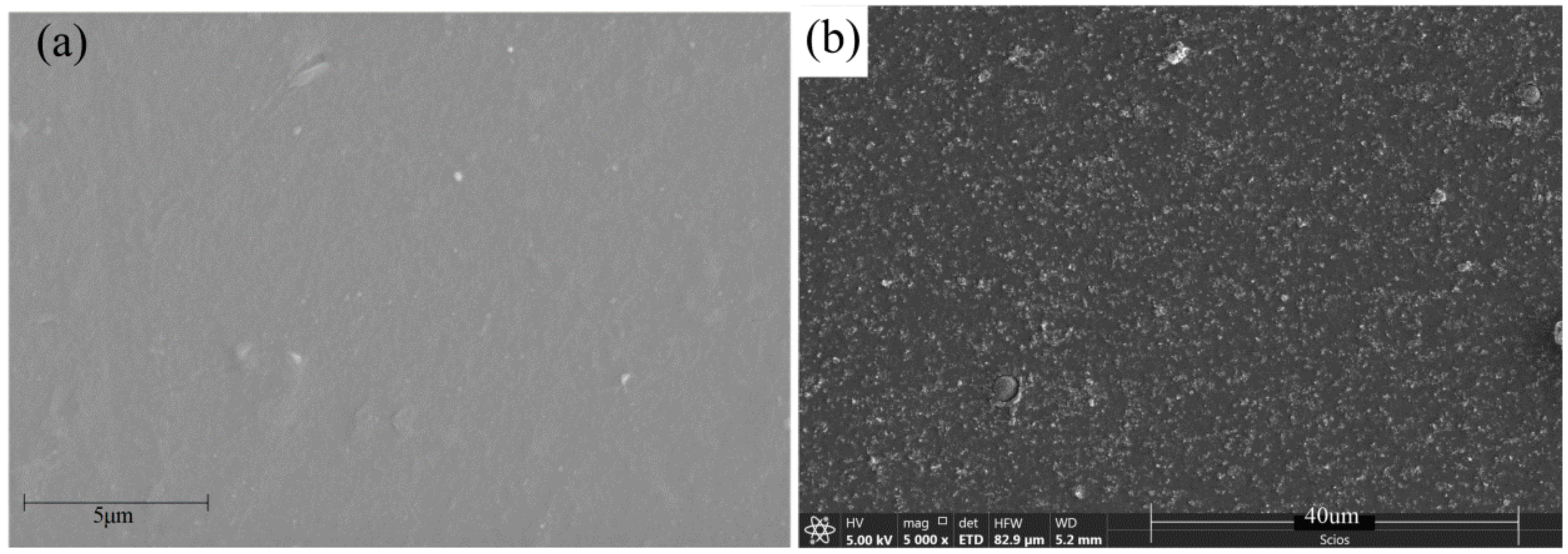 Polymers 12 00146 g005