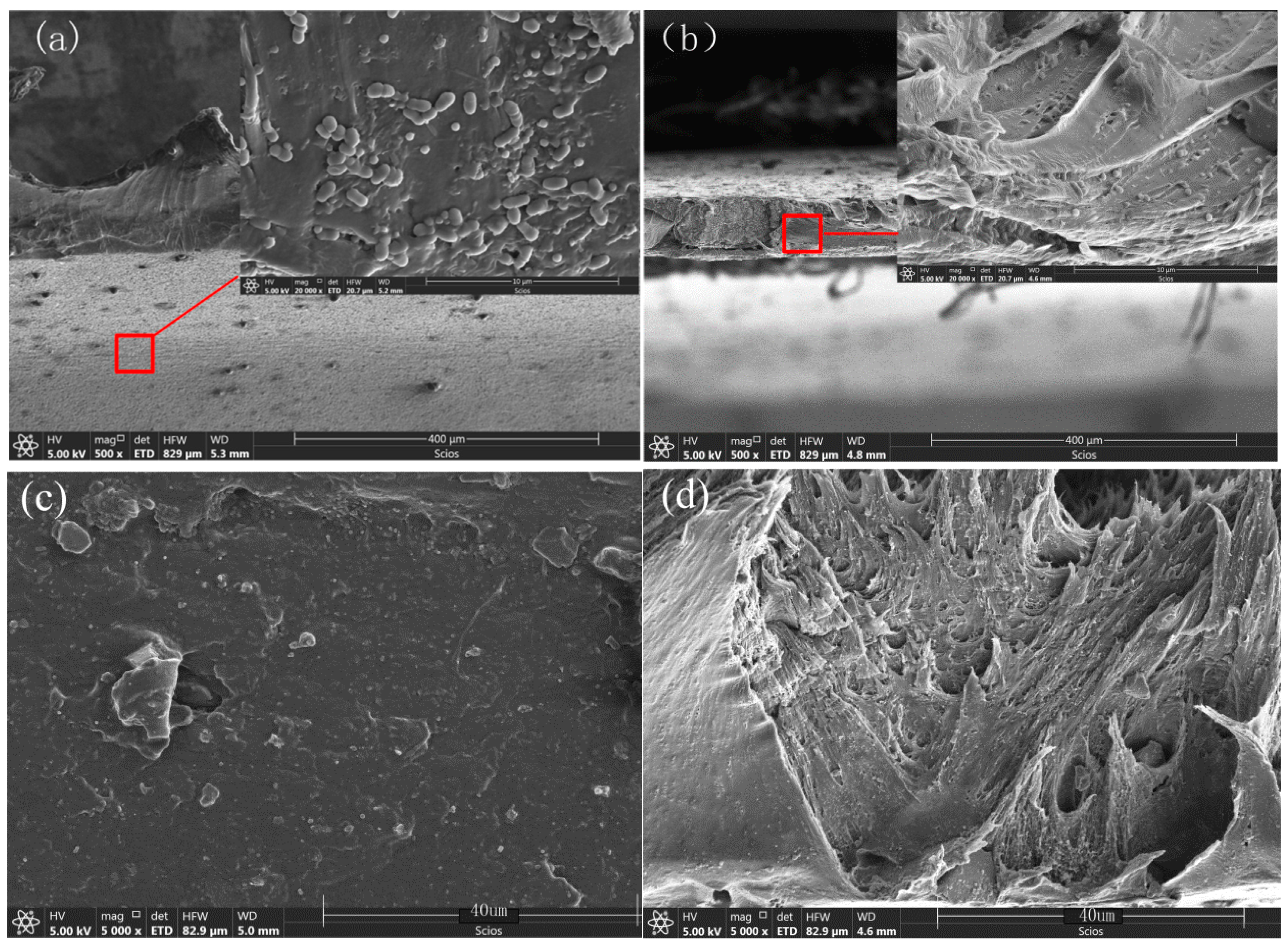 Polymers 12 00146 g009