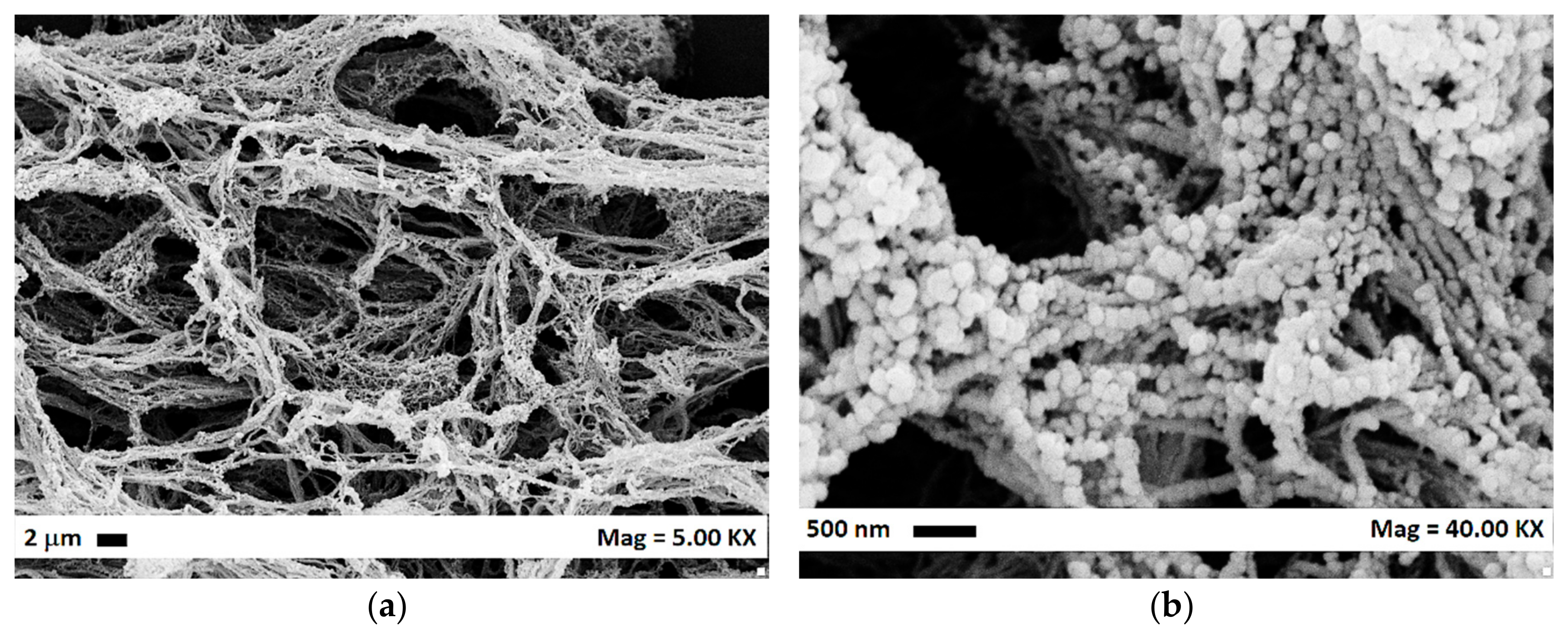 Polymers 12 00162 g001