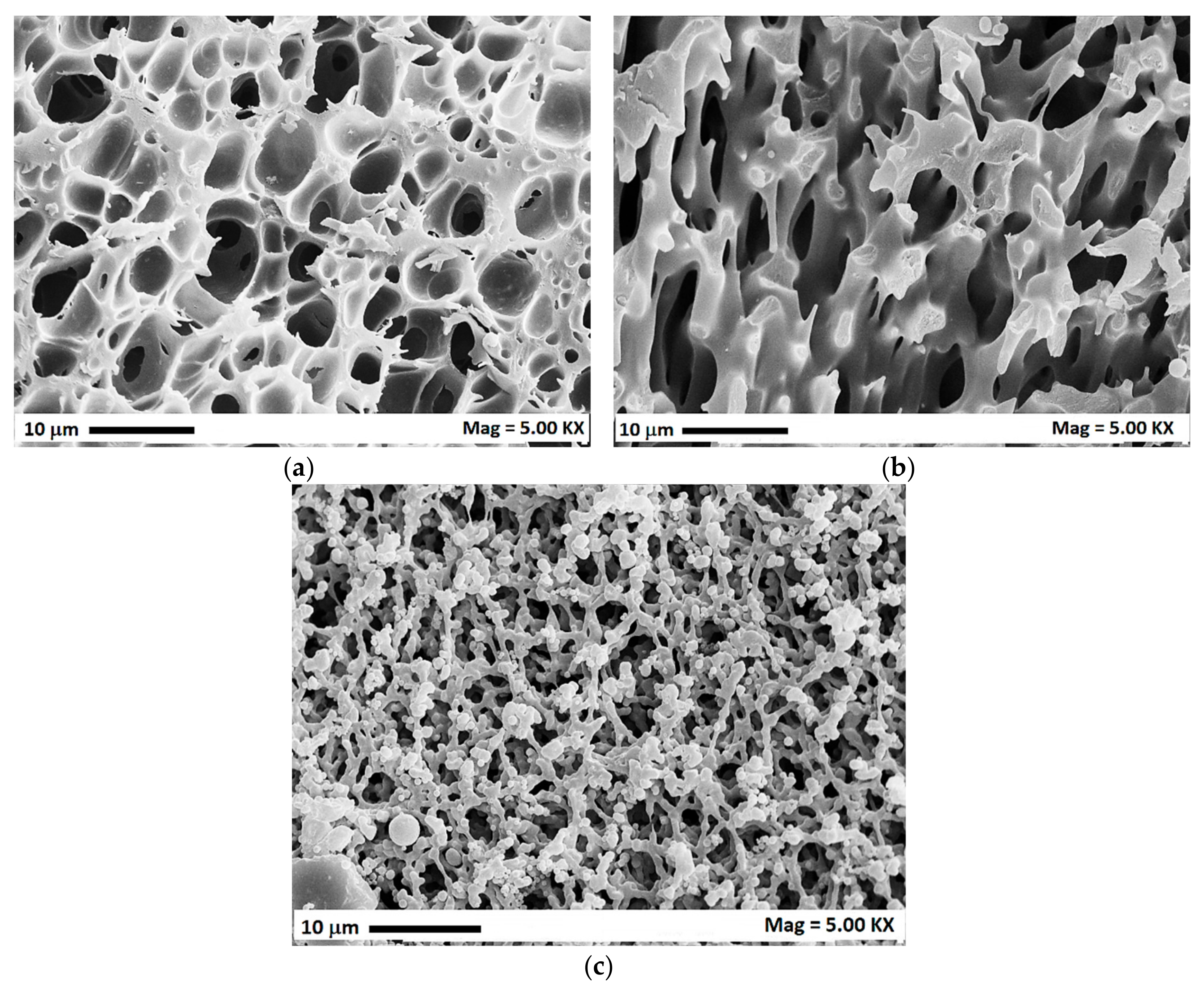 Polymers 12 00162 g006