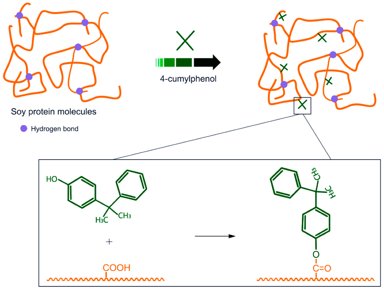 Polymers 12 00169 g004