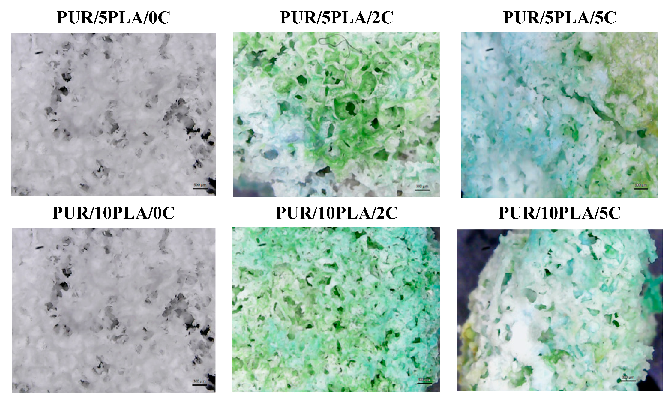 Polymers 12 00171 g008