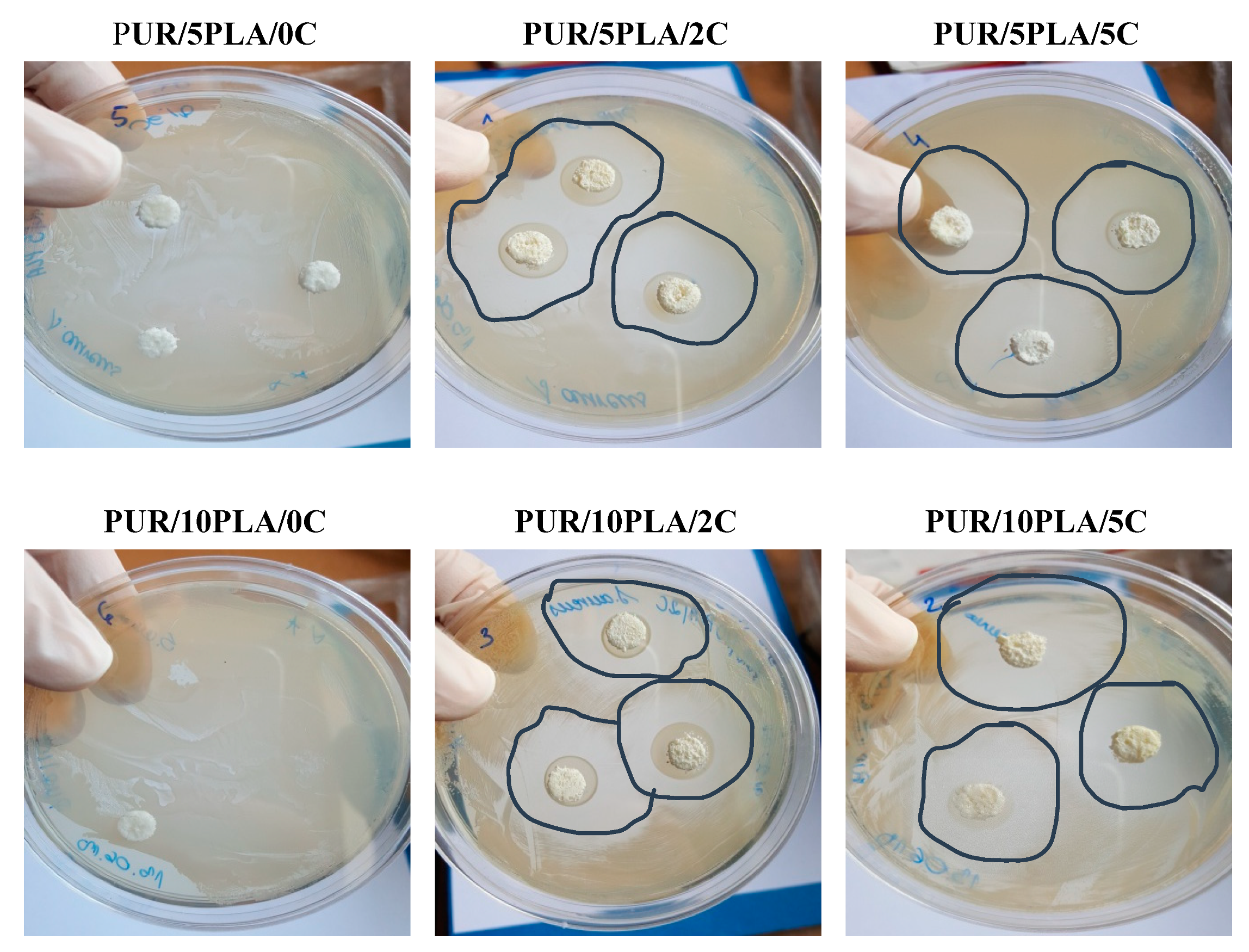 Polymers 12 00171 g009