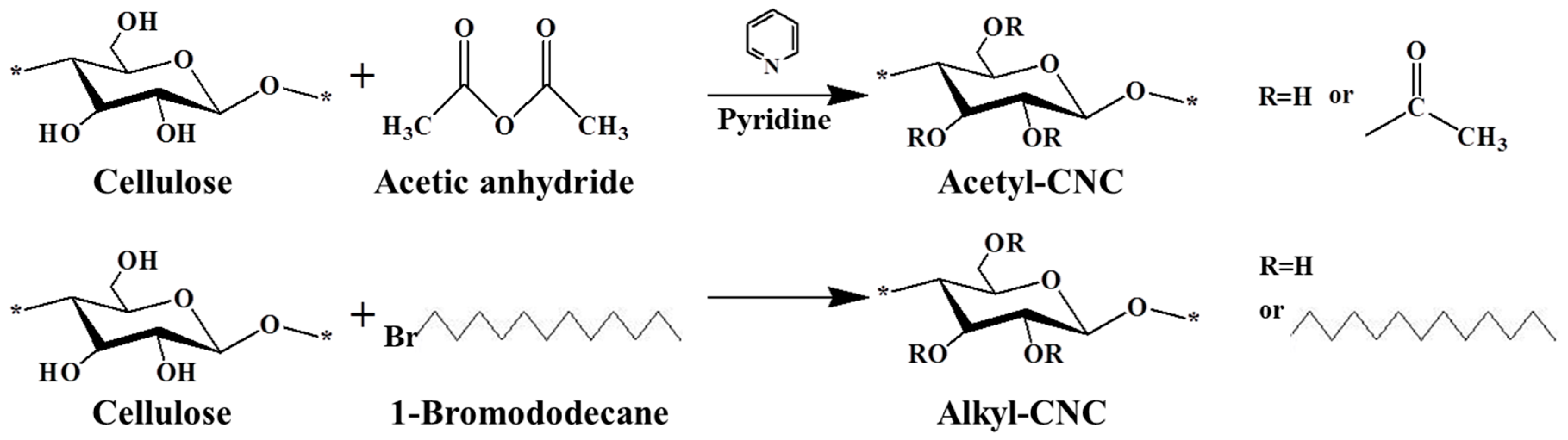 Polymers 12 00178 g001
