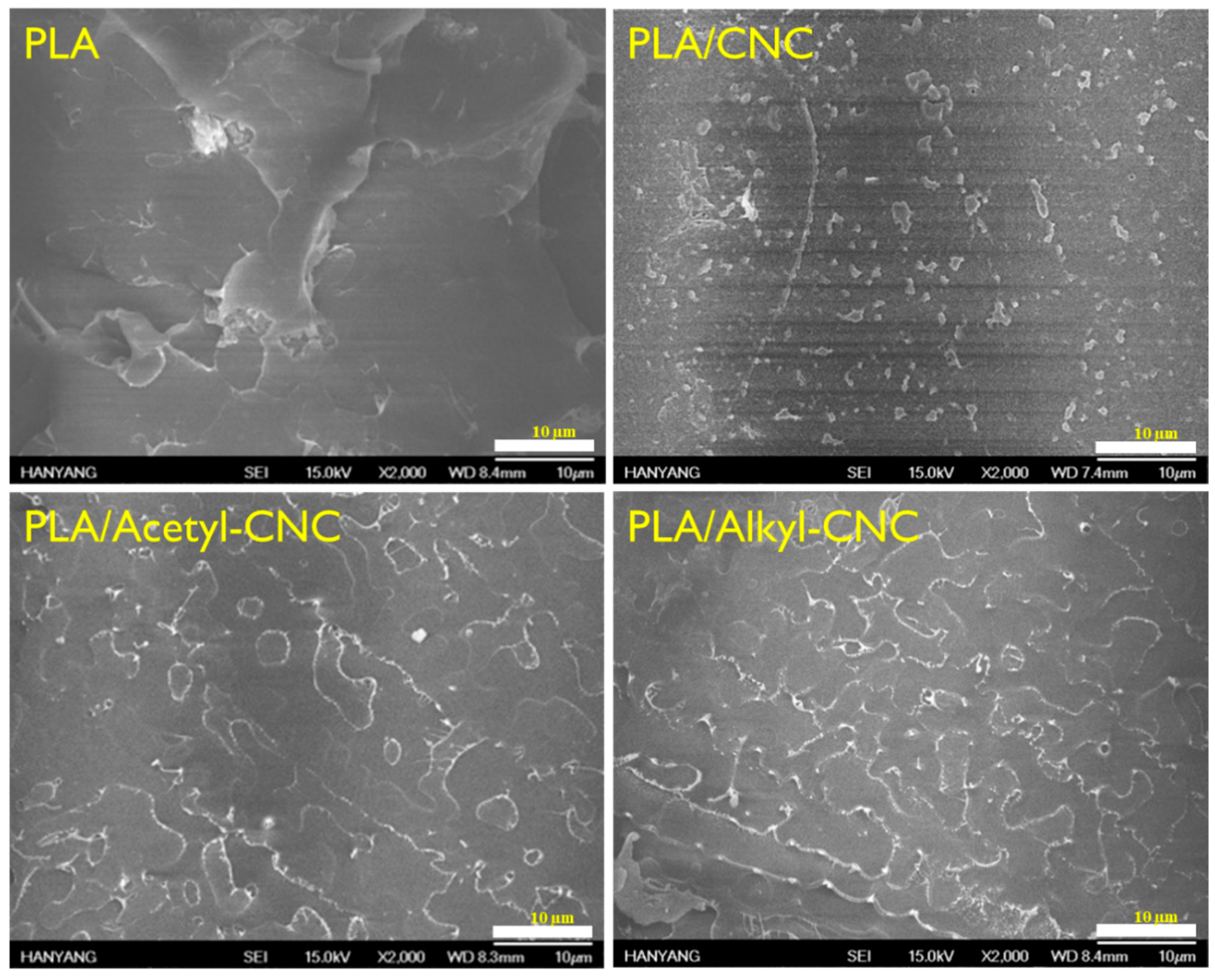 Polymers 12 00178 g003