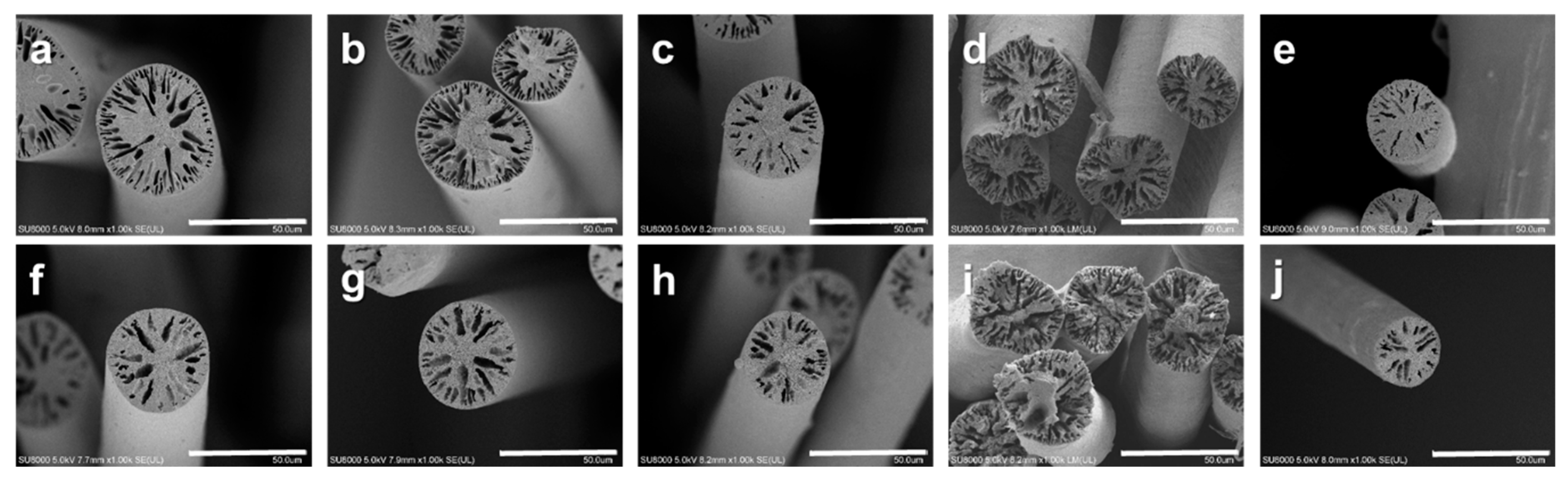 Polymers 12 00179 g006