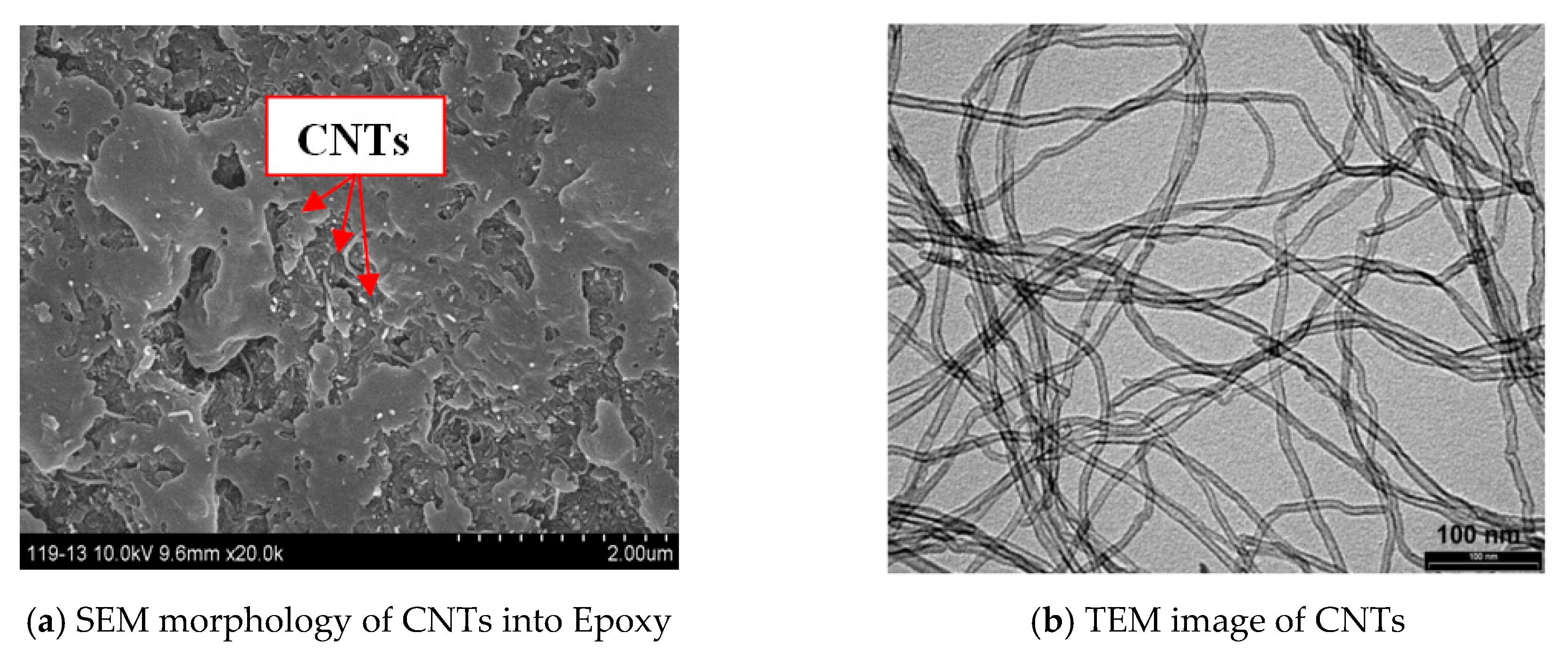 Polymers 12 00194 g001