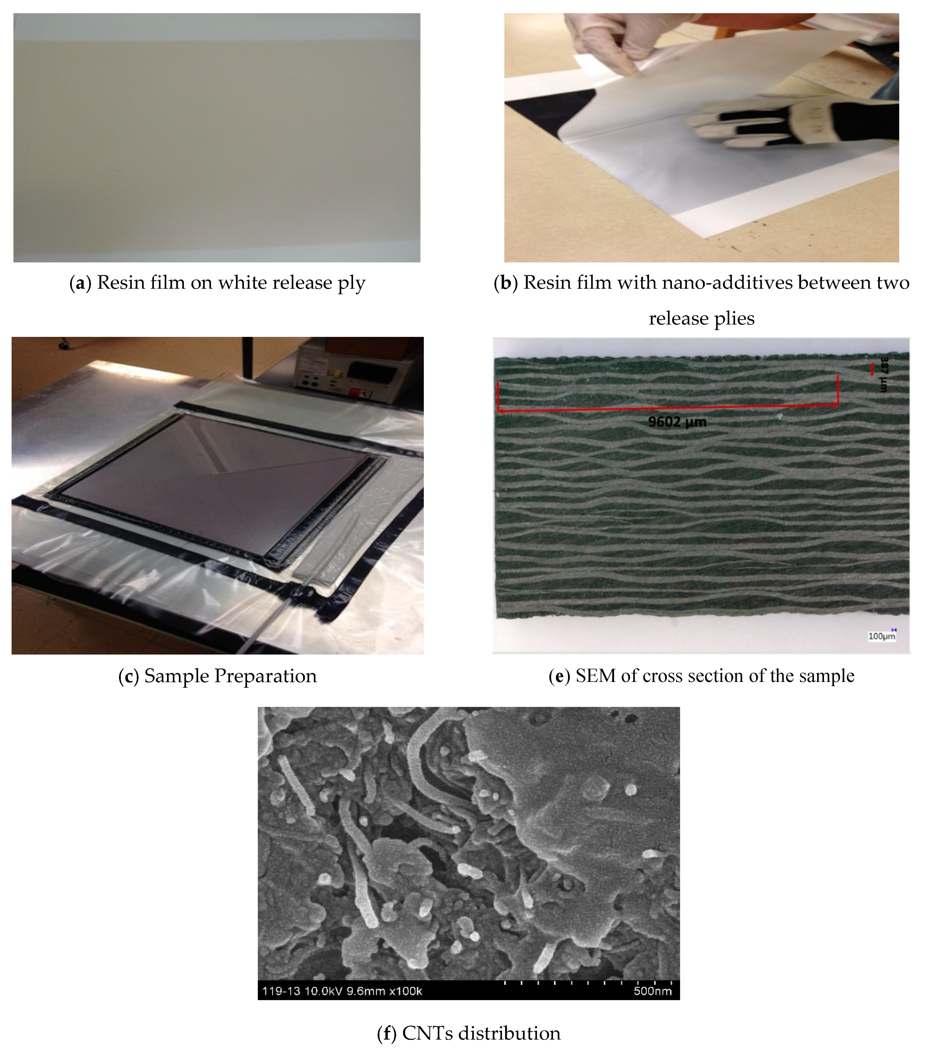 Polymers 12 00194 g003