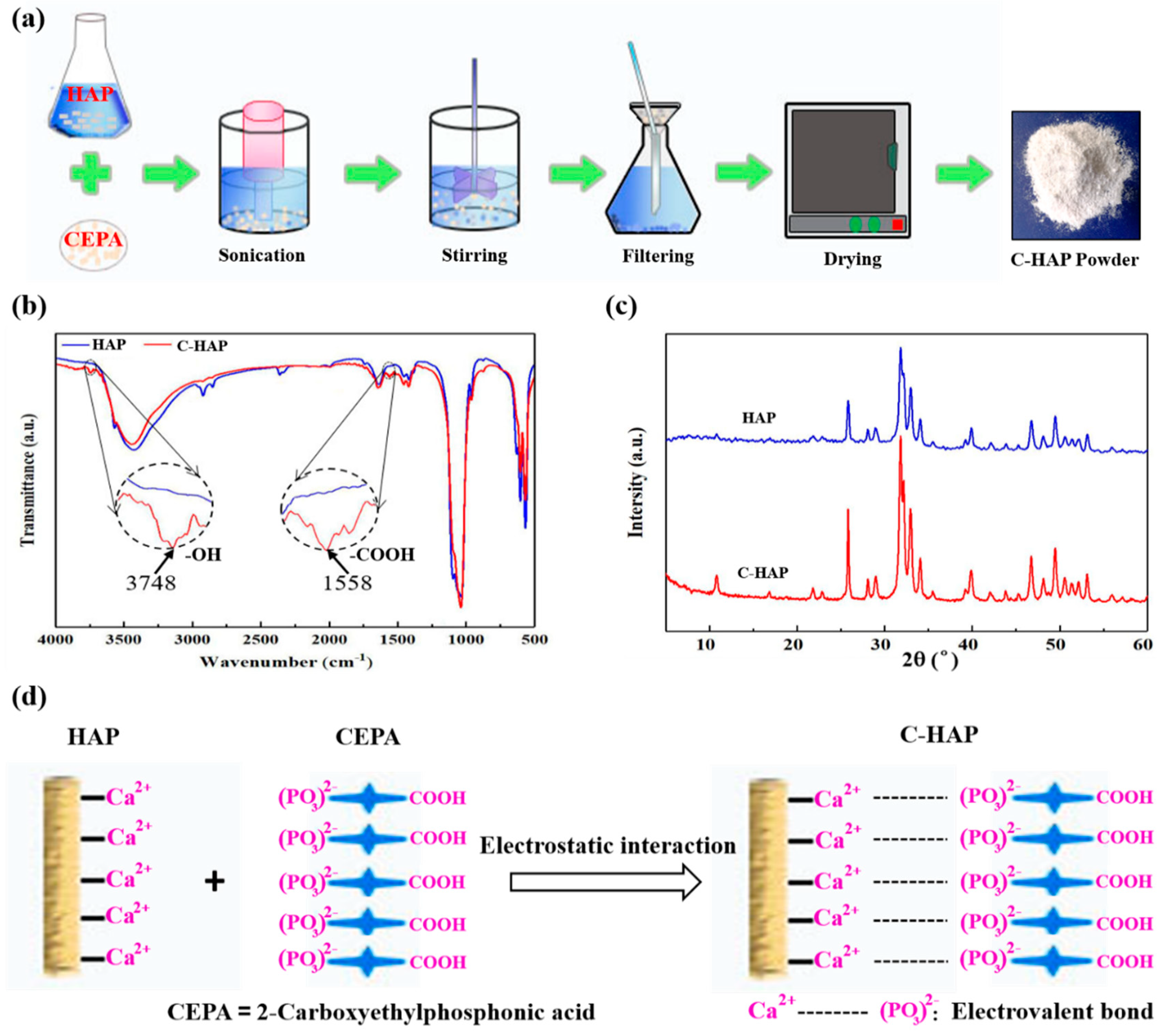 Polymers 12 00199 g001