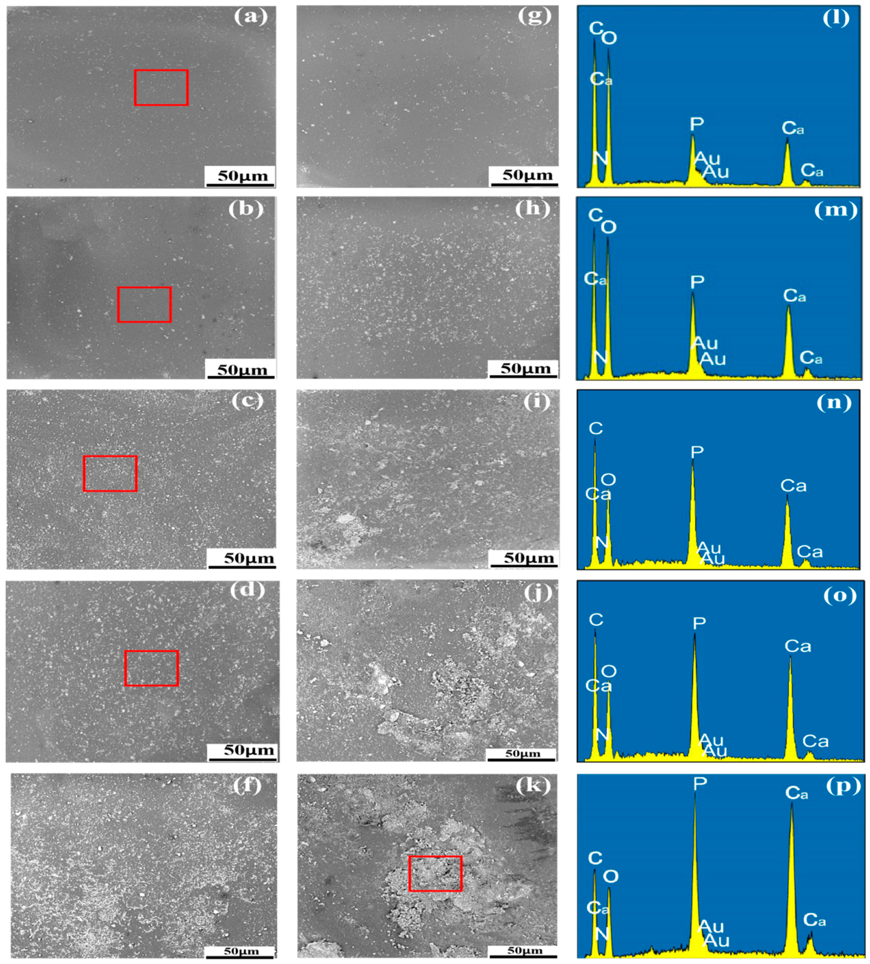 Polymers 12 00199 g003