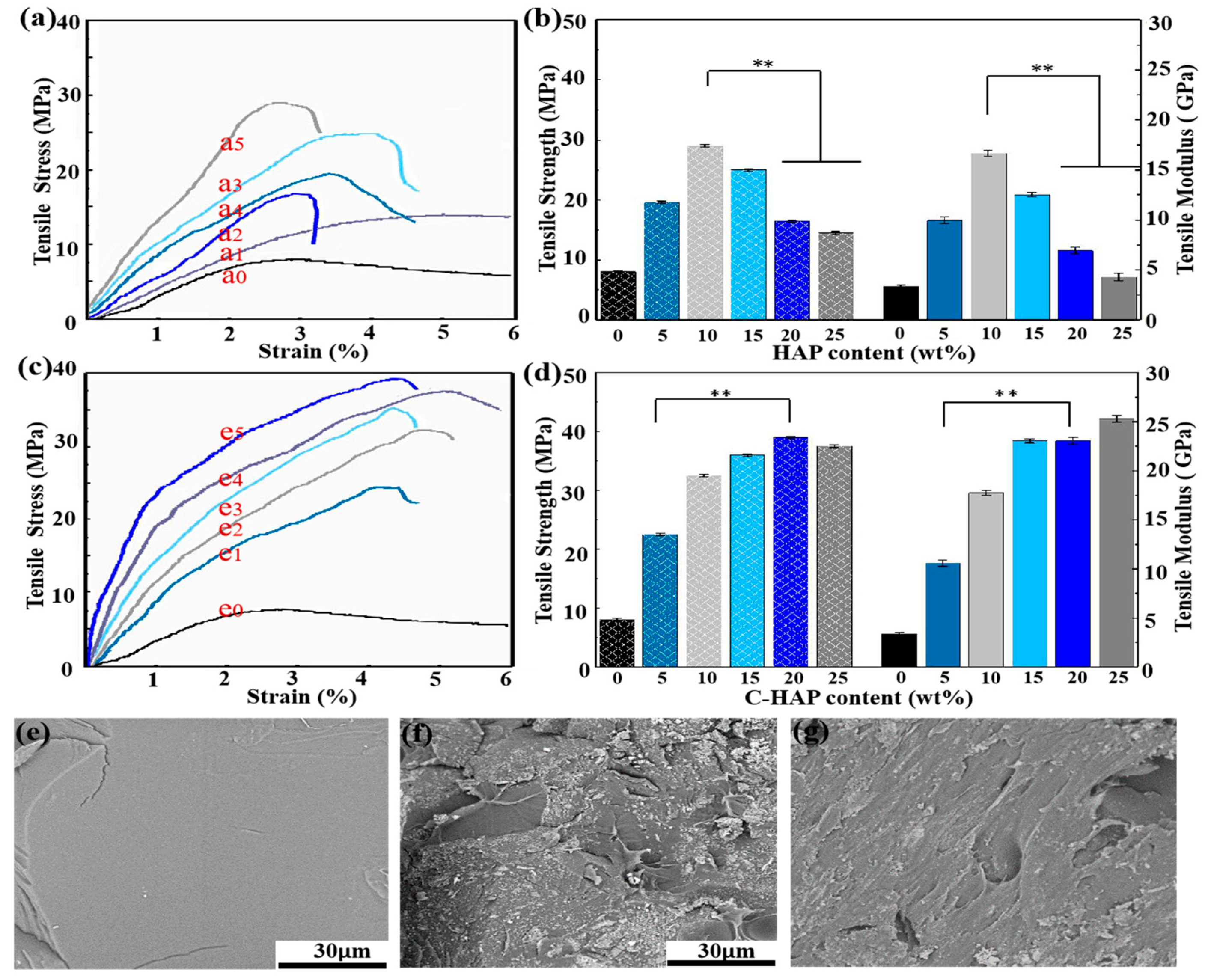 Polymers 12 00199 g004