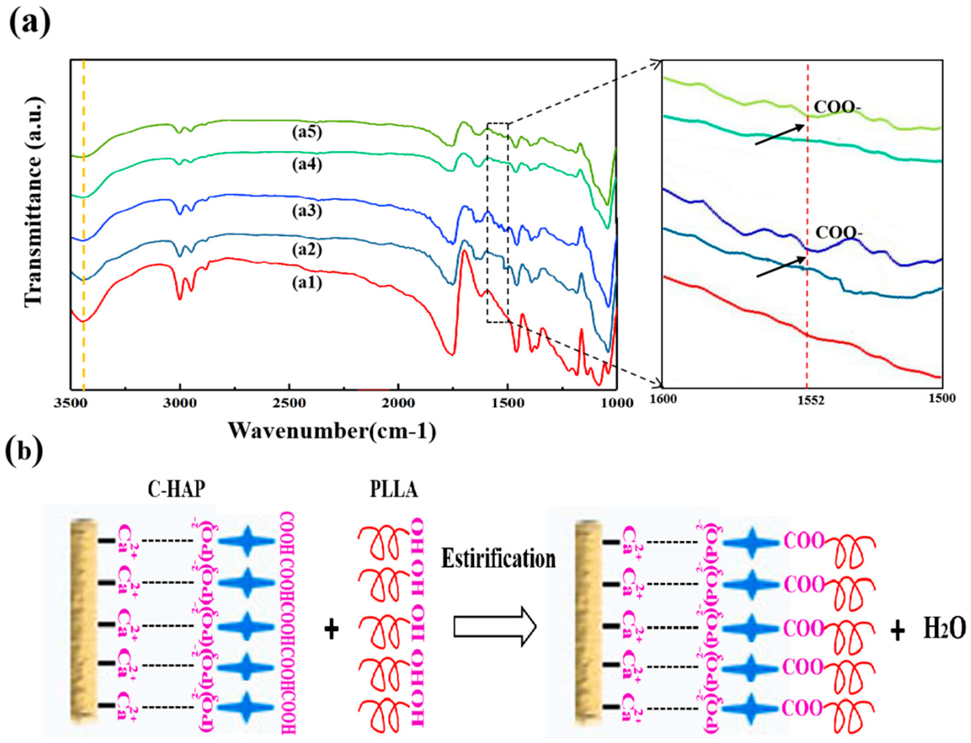 Polymers 12 00199 g005
