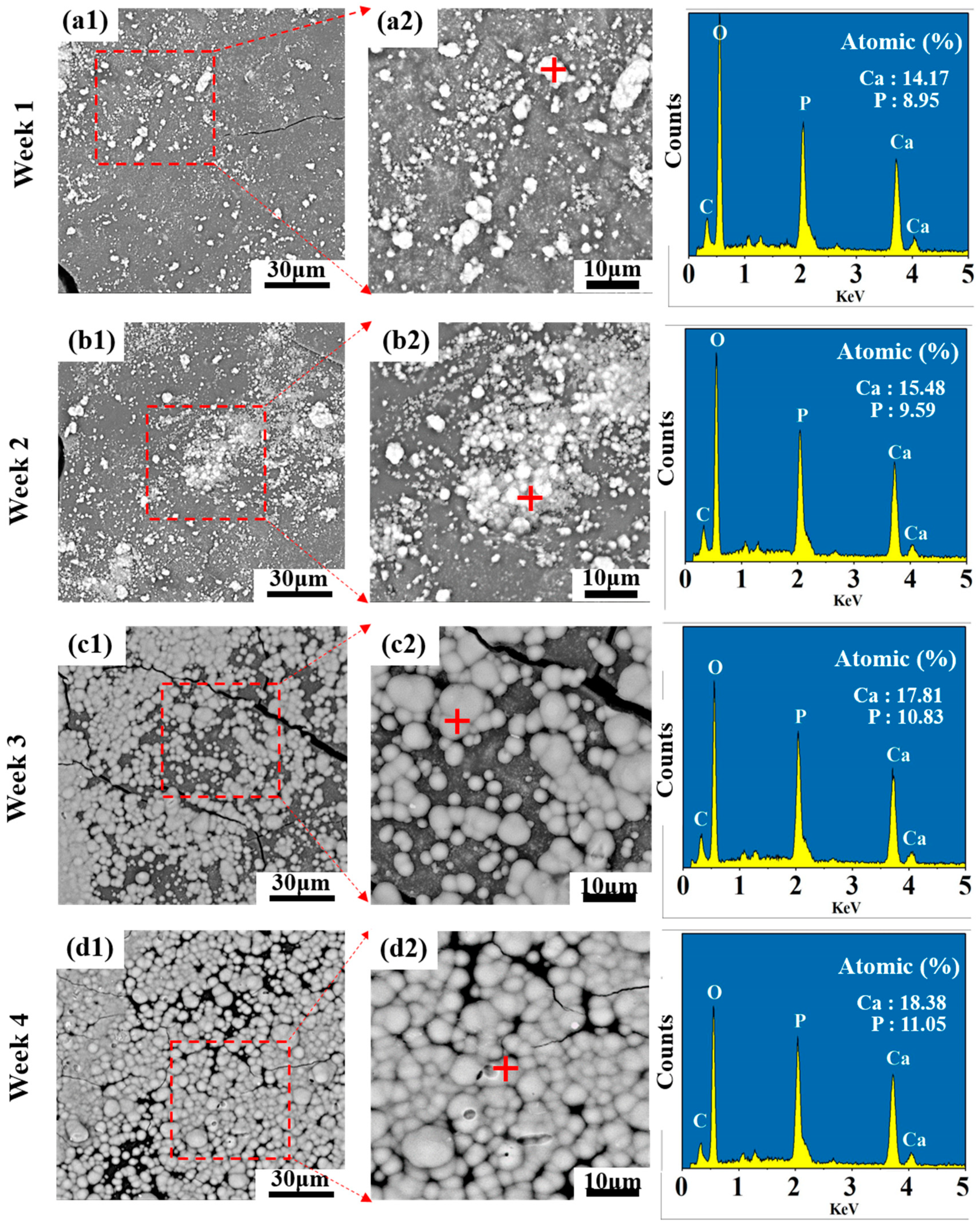 Polymers 12 00199 g007