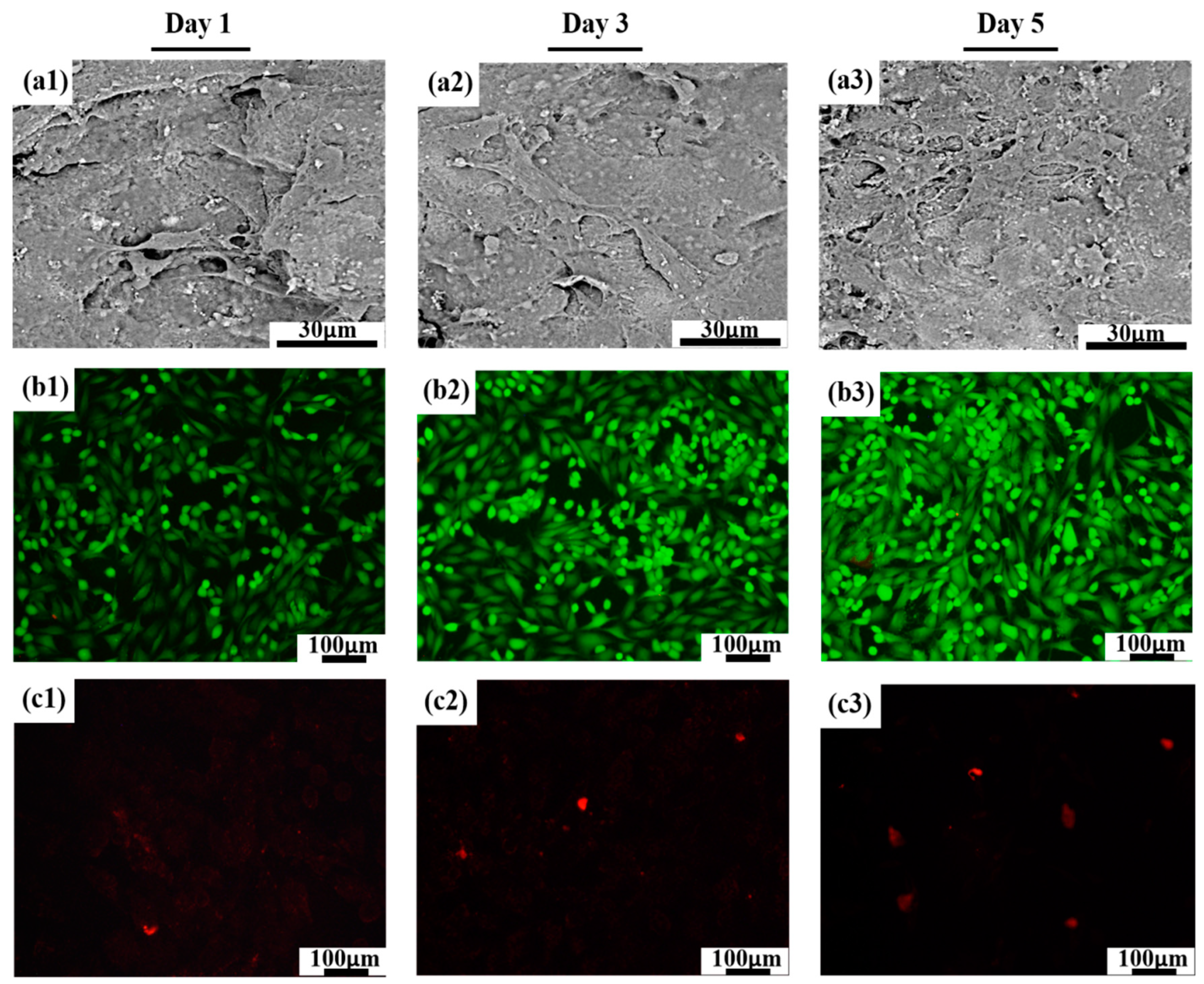 Polymers 12 00199 g008