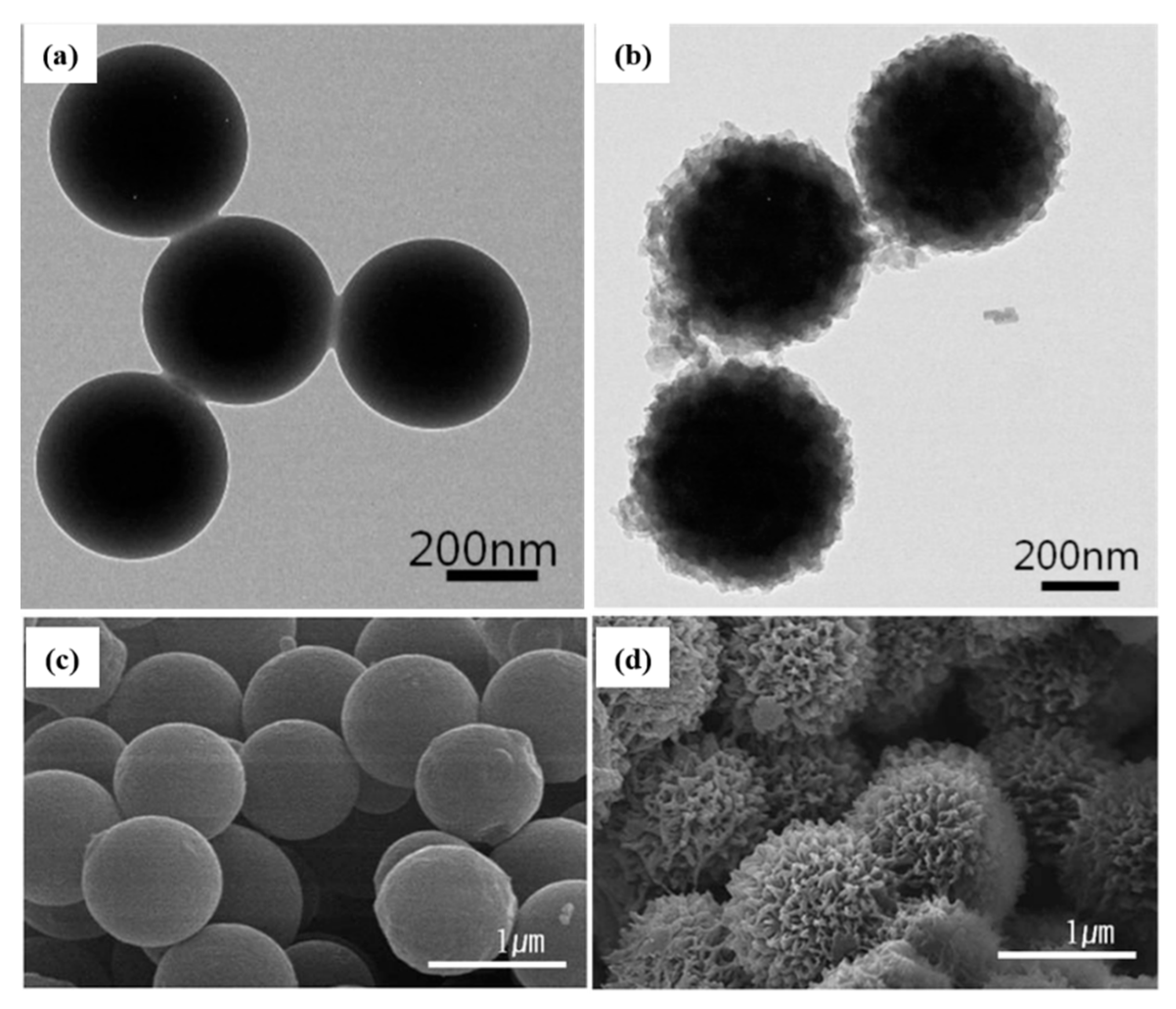 Polymers 12 00204 g001 Polymers 12 00204 g001