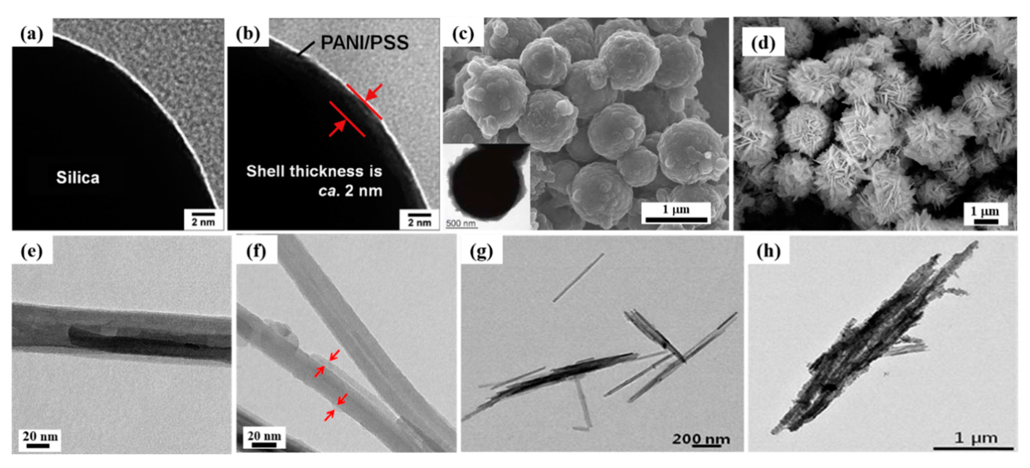 Polymers 12 00204 g002 Polymers 12 00204 g002