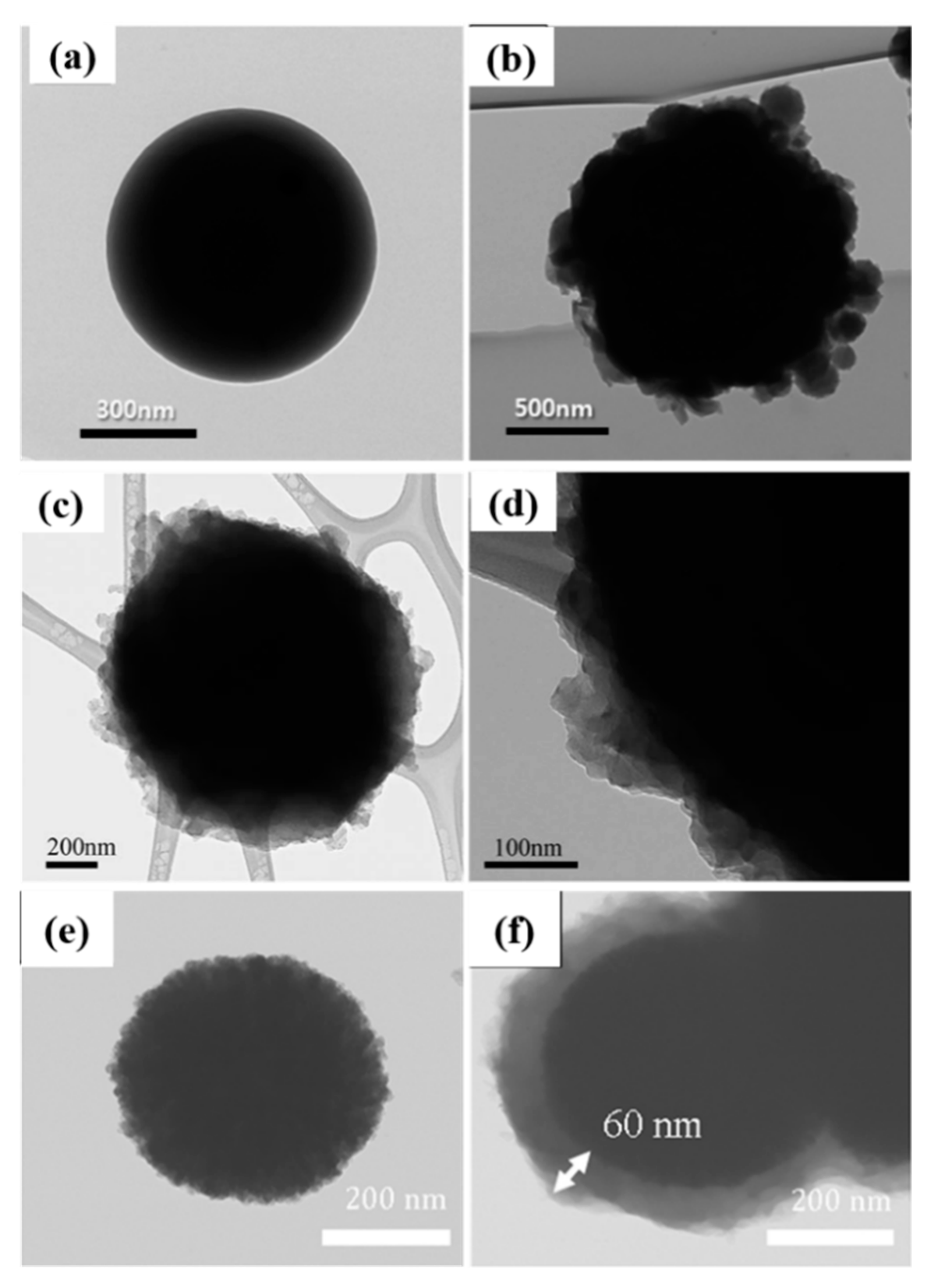 Polymers 12 00204 g003 Polymers 12 00204 g003