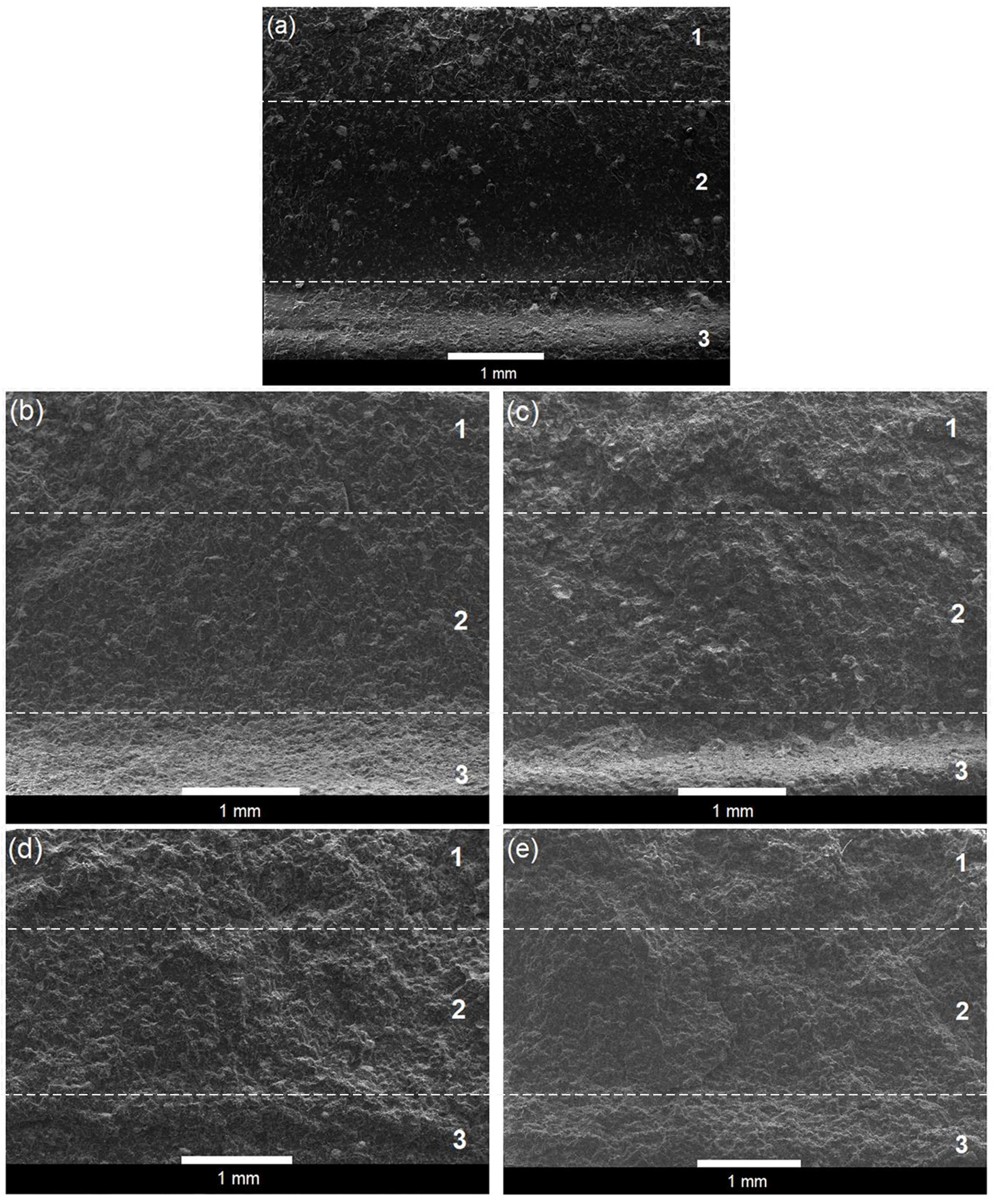 Polymers 12 00208 g007