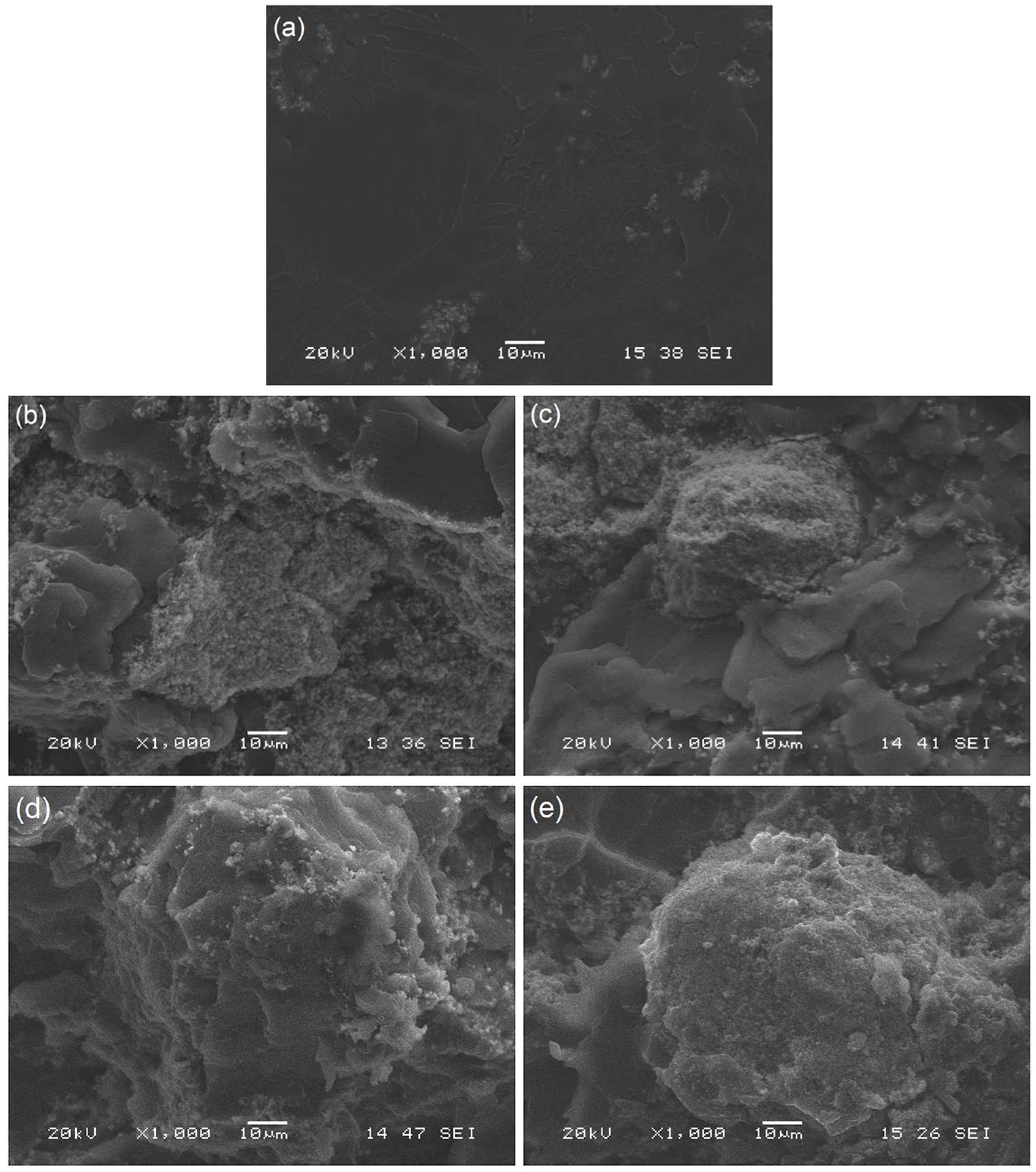 Polymers 12 00208 g008