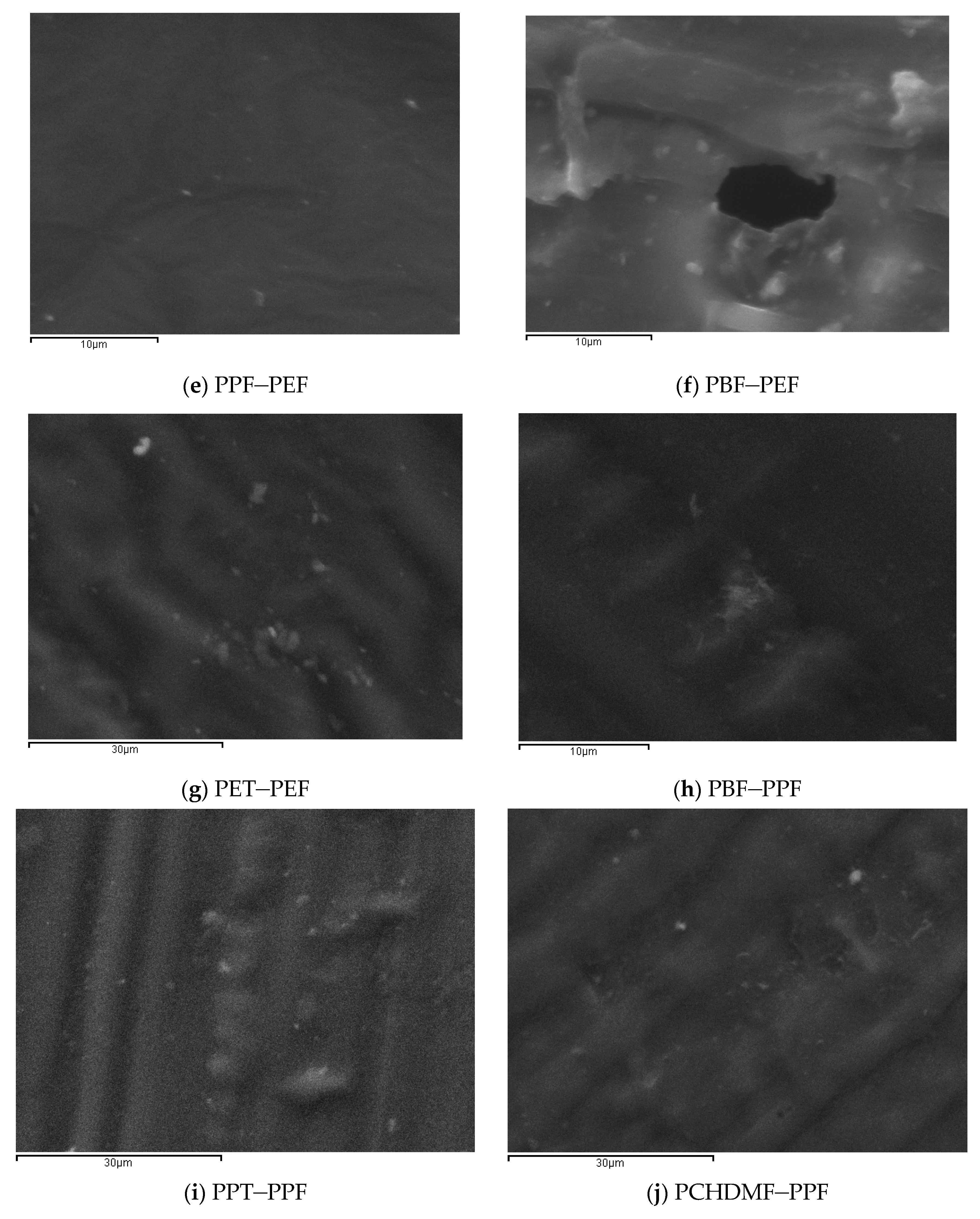Polymers 12 00225 g007b
