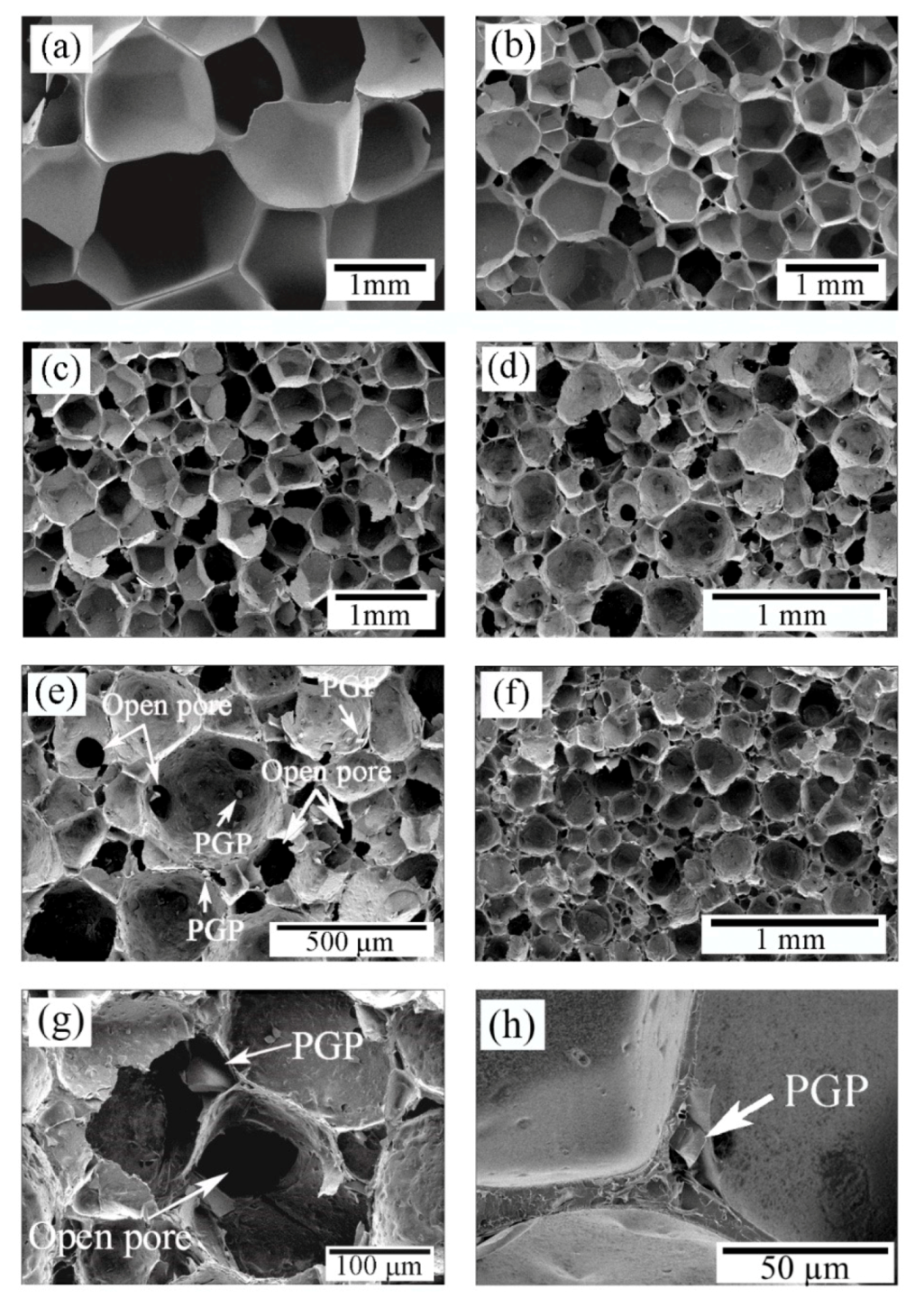 Polymers 12 00231 g003 Polymers 12 00231 g003