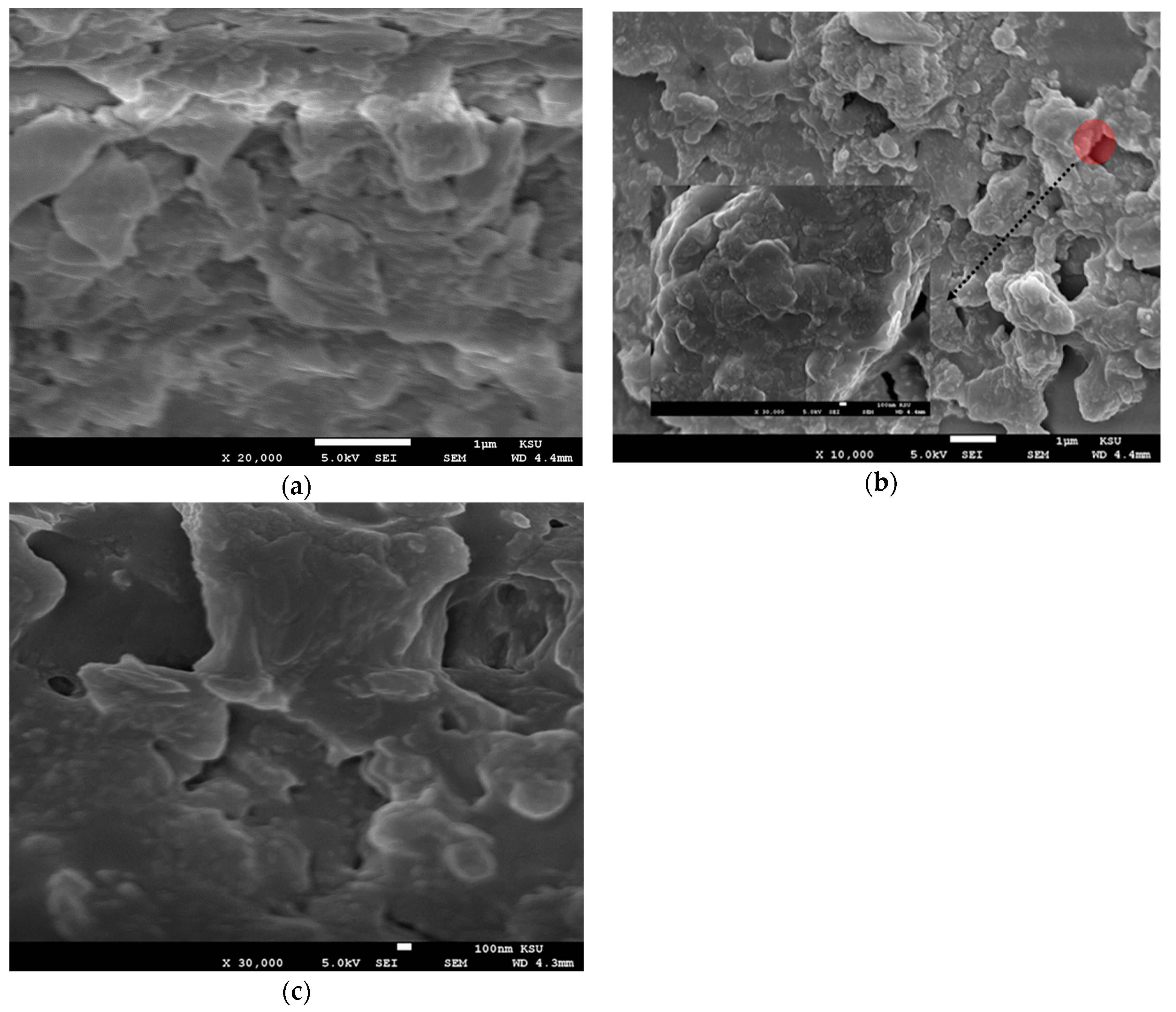 Polymers 12 00232 g005a