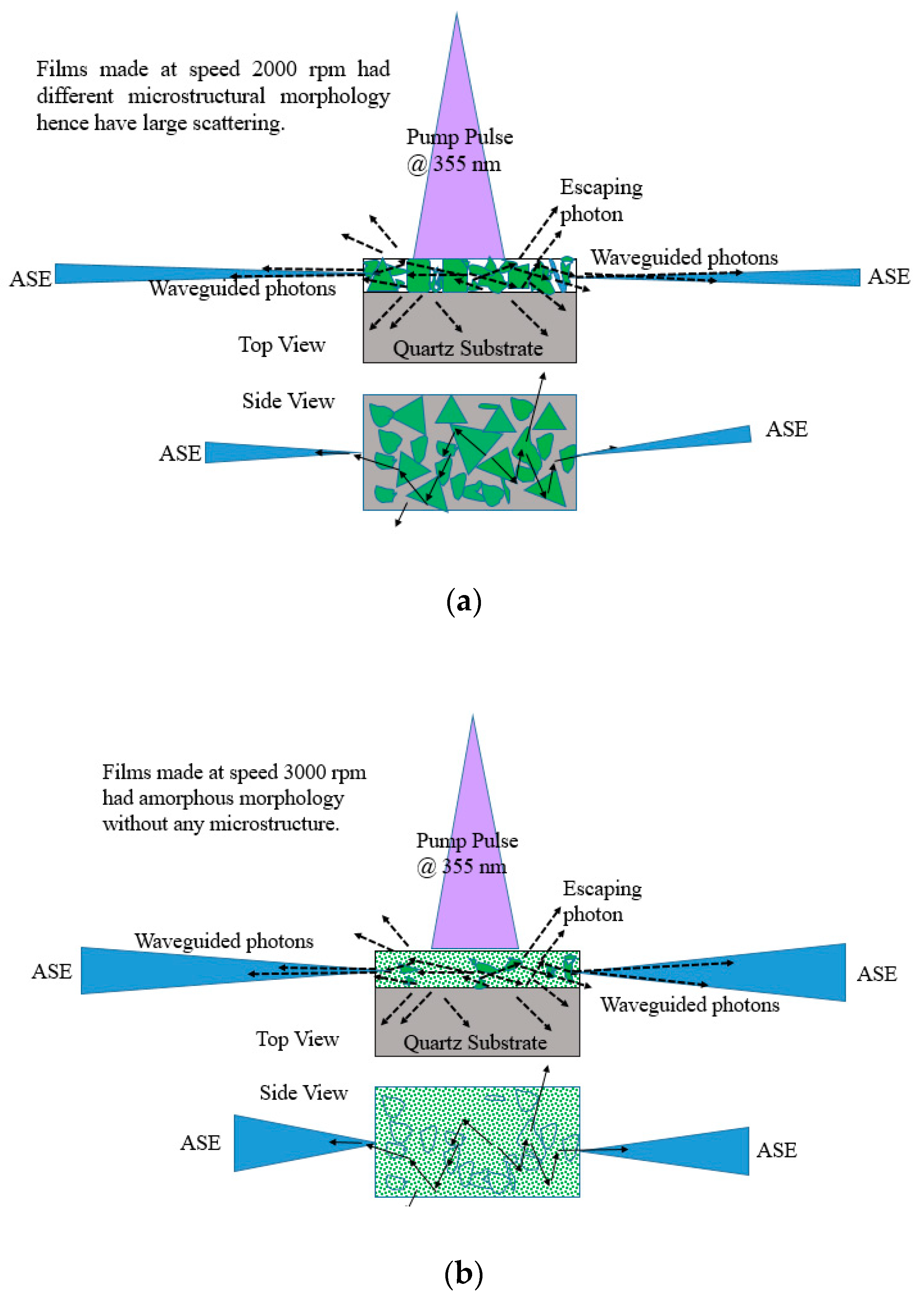Polymers 12 00232 g017