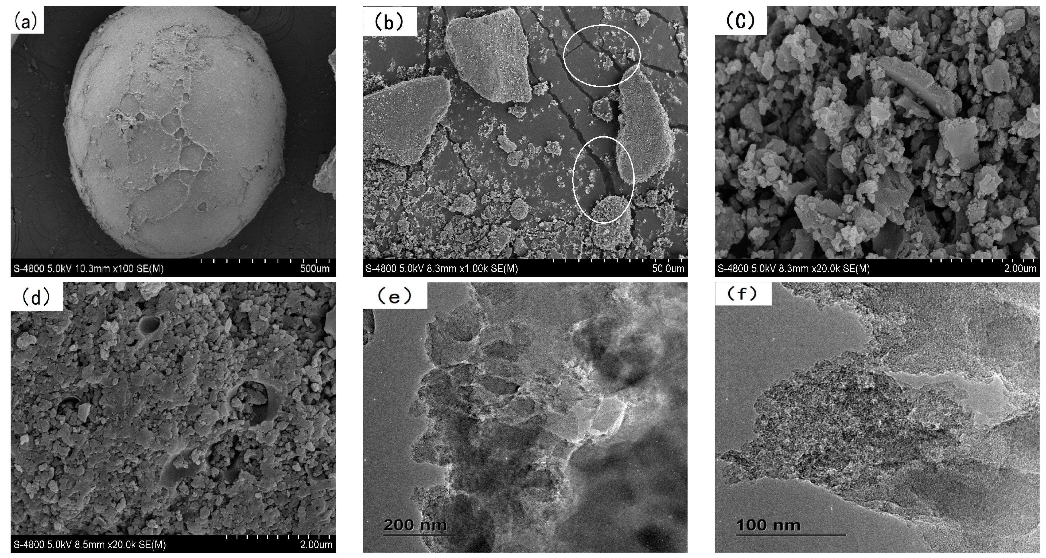 Polymers 12 00236 g003